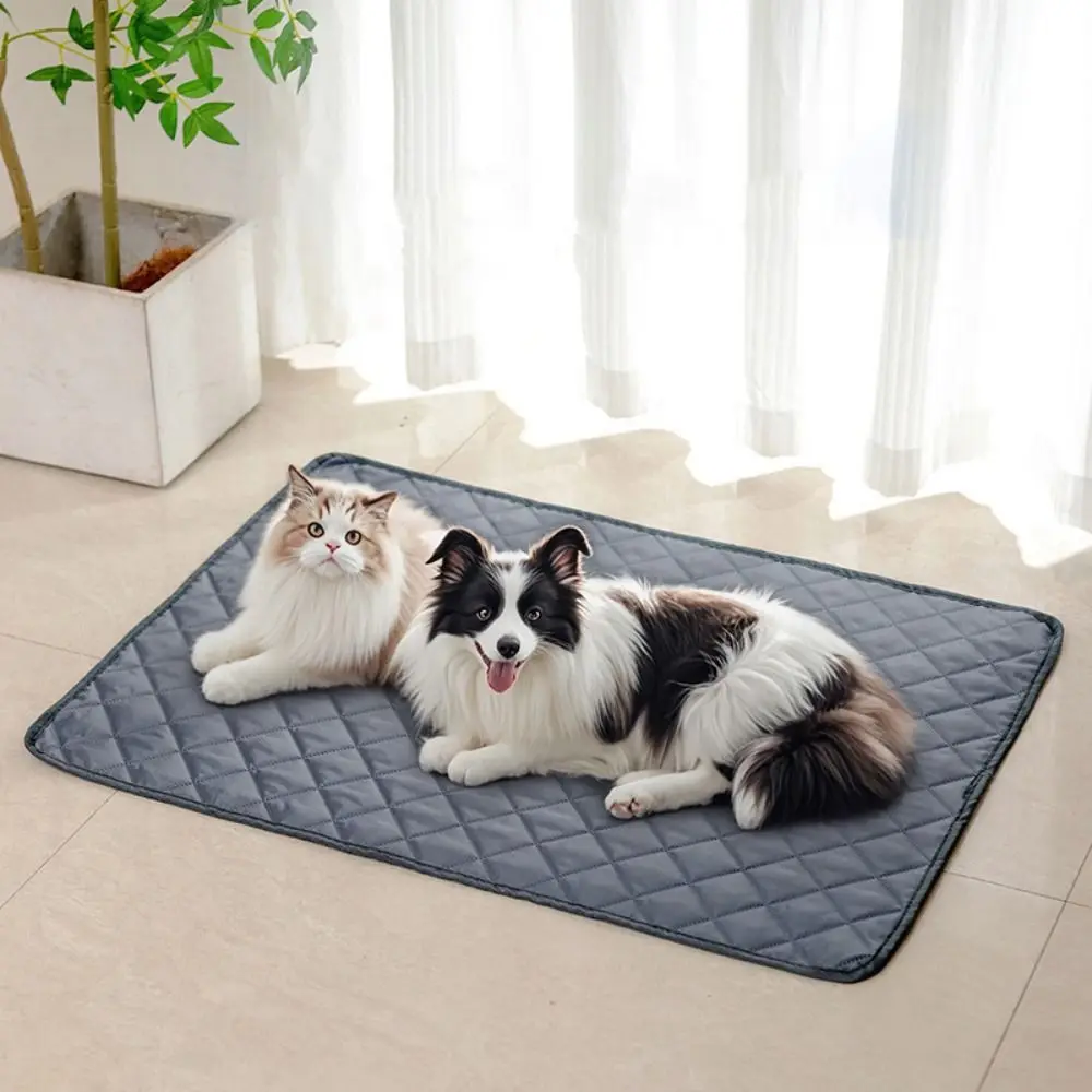Pet Supplies Oxford Cloth Dog Cooling Mat Waterproof Moisture-proof Puppy Training Pad Reusable Non-Slip Cat Blanket Home
Pet Supplies Oxford Cloth Dog Cooling Mat Waterproof Moisture-proof Puppy Training Pad Reusable Non-Slip Cat Blanket Home