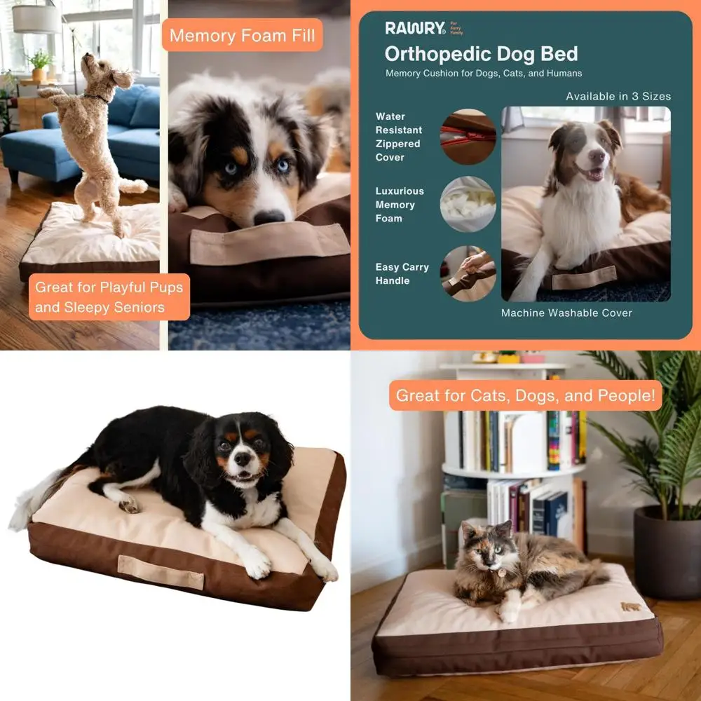 Orthopedic Memory Foam Dog Bed - Tan/Brown, Small, 24x18 with Removable, Washable Cover for Cats & Dogs
Orthopedic Memory Foam Dog Bed - Tan/Brown, Small, 24x18 with Removable, Washable Cover for Cats & Dogs