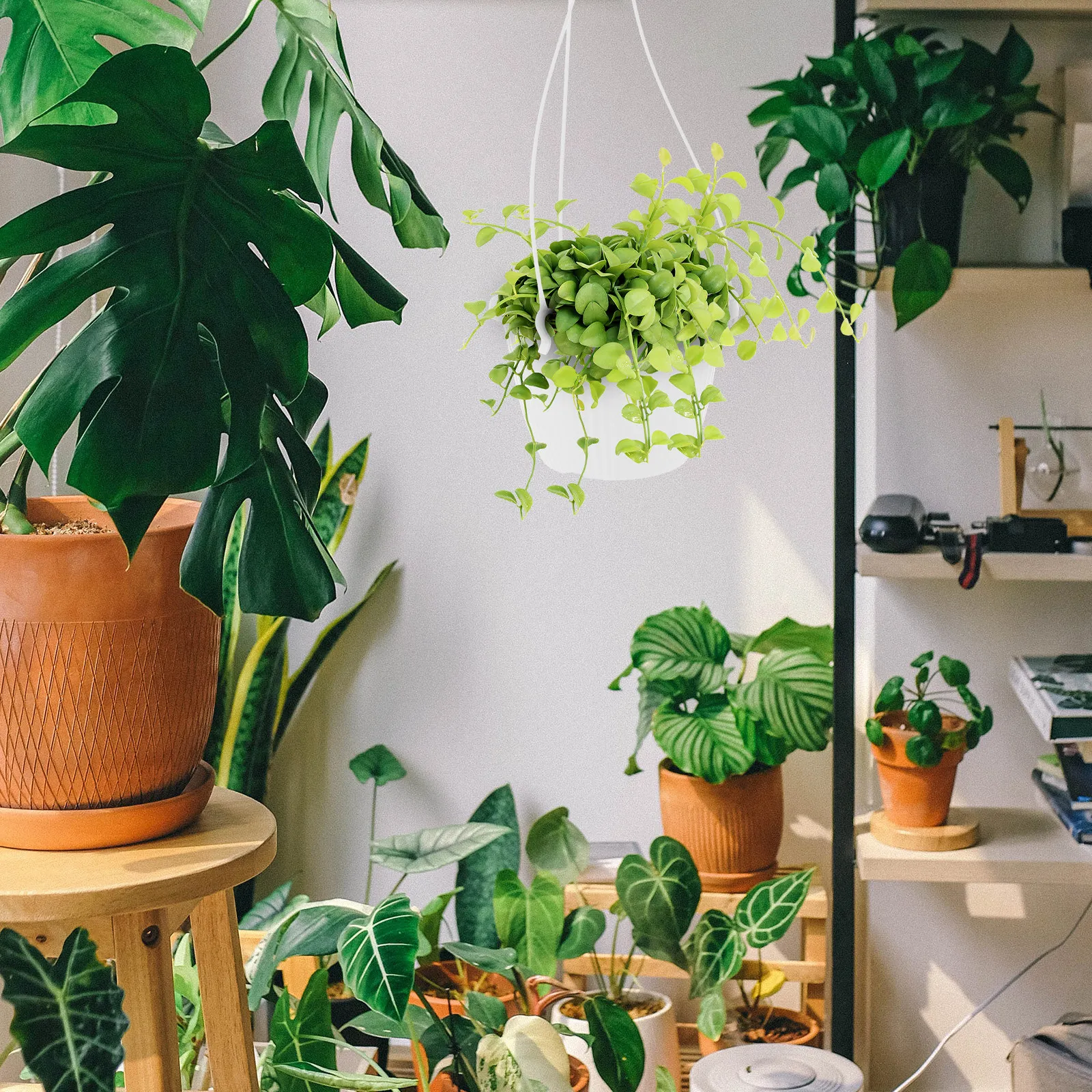 4 Pcs Flower Planter Hanging Small Basket Planters Pots Baskets for outside Indoor Plants
4 Pcs Flower Planter Hanging Small Basket Planters Pots Baskets for outside Indoor Plants