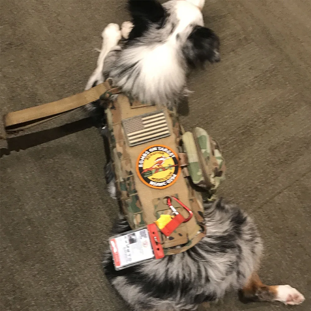 Тактическая шлейка для собак с несколькими карманами и эластичным поводком. Прочный жилет для домашних животных в стиле милитари для тренировок и активного отдыха.
Тактическая шлейка для собак с несколькими карманами и эластичным поводком. Прочный жилет для домашних животных в стиле милитари для тренировок и активного отдыха.