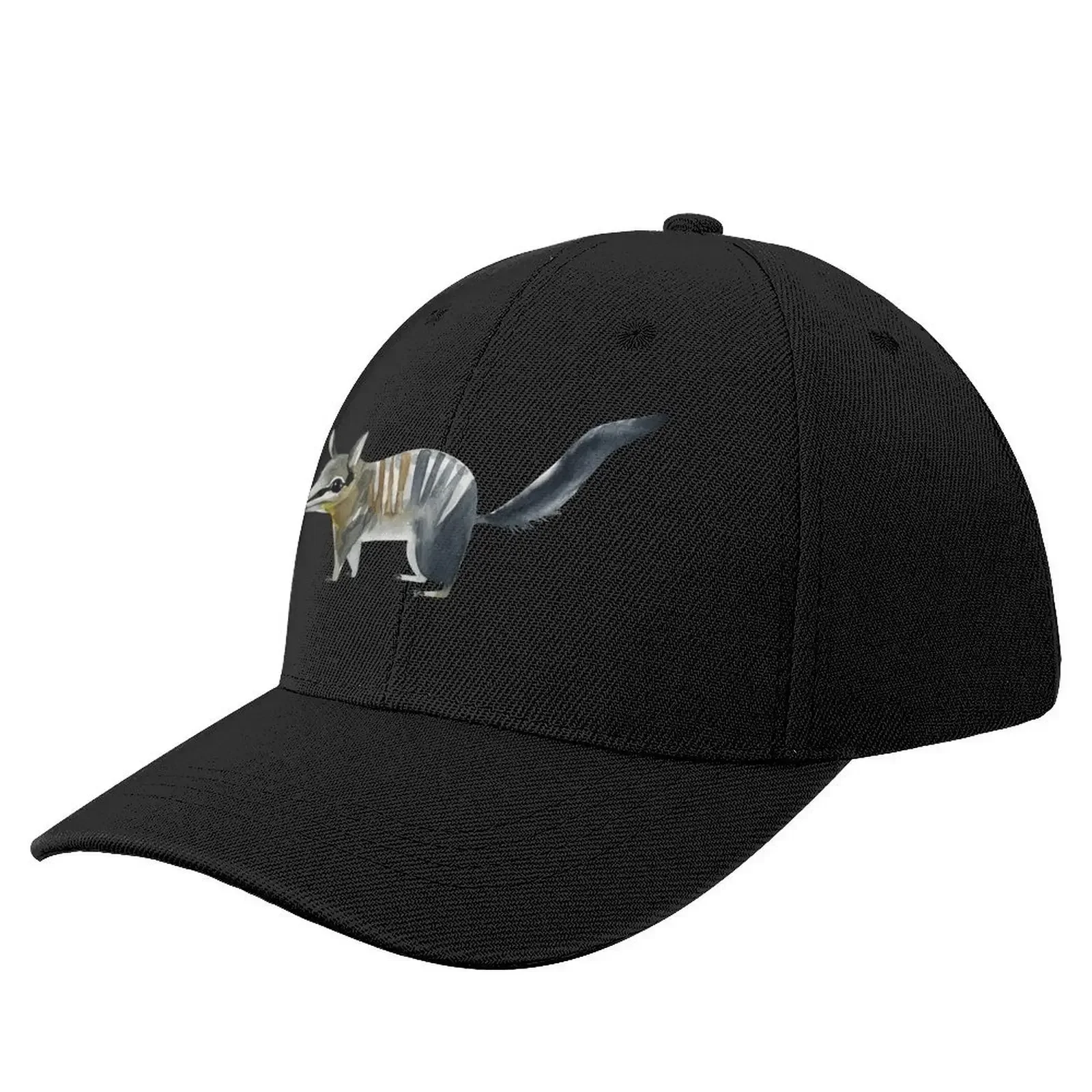 Cute Numbat Watercolor, Best Gift Idea For Numbat Dad, Numbat Art Lover,Numbat Mom, Numbats lover Baseball Cap
Cute Numbat Watercolor, Best Gift Idea For Numbat Dad, Numbat Art Lover,Numbat Mom, Numbats lover Baseball Cap
