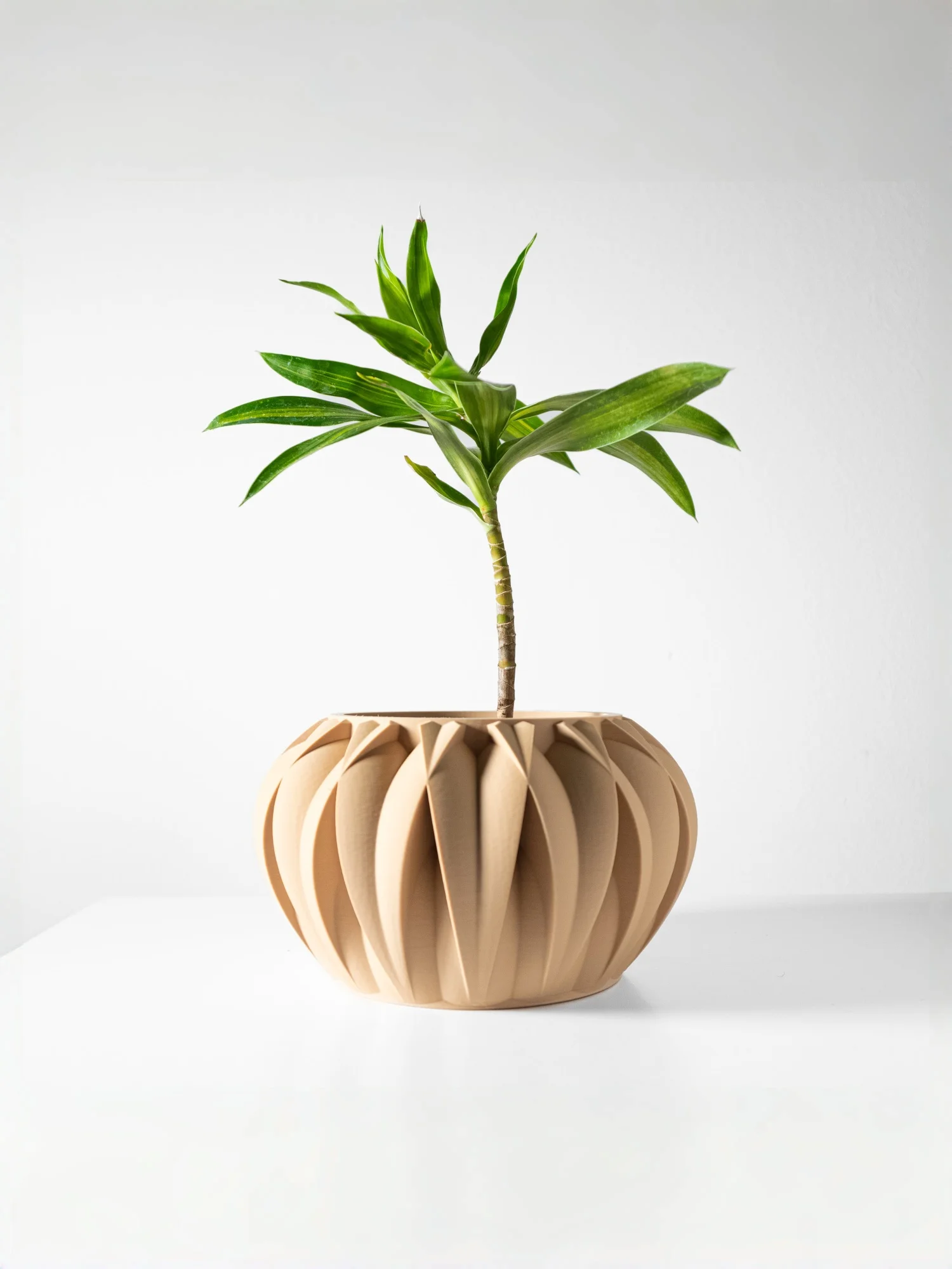 Modern Minimalist 3D Printed Plant Pot – Biodegradable Flower Planter for Home Decor, Eco-Friendly Sustainable Gift (Halden)
Modern Minimalist 3D Printed Plant Pot – Biodegradable Flower Planter for Home Decor, Eco-Friendly Sustainable Gift (Halden)