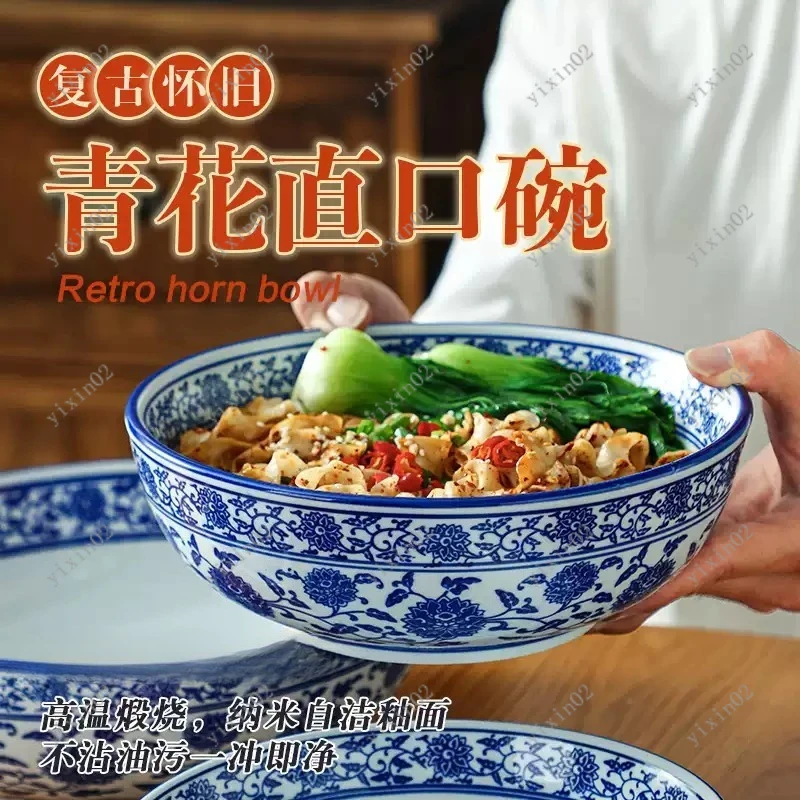 Chinese Style Blue and White Ceramic Bowl Classic Porcelain Bowl for Noodles Soup and Daily Use
Chinese Style Blue and White Ceramic Bowl Classic Porcelain Bowl for Noodles Soup and Daily Use