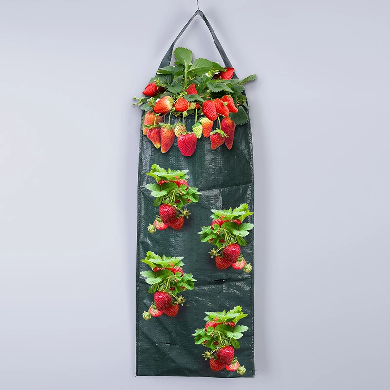 Flower Vegetable Planter 8-Hole Hanging Strawberry Planting Bag Vertical Garden Flower Grow Bag Balcony Courtyard Biodegradable
Flower Vegetable Planter 8-Hole Hanging Strawberry Planting Bag Vertical Garden Flower Grow Bag Balcony Courtyard Biodegradable