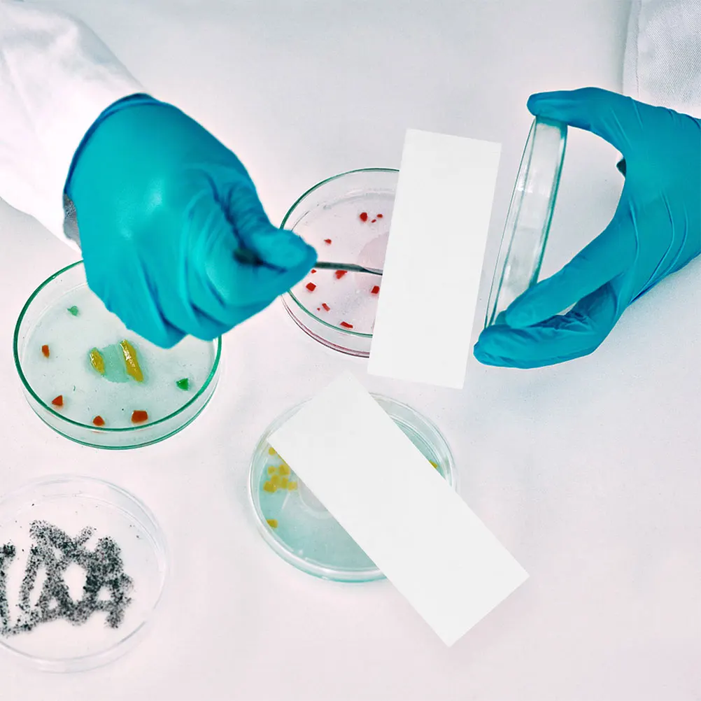 1000 Pcs Absorbent Paper Consumables 2 8x7 5cm Laboratory Strips High Water Absorption Cleaning Experiment Supplies Science
1000 Pcs Absorbent Paper Consumables 2 8x7 5cm Laboratory Strips High Water Absorption Cleaning Experiment Supplies Science