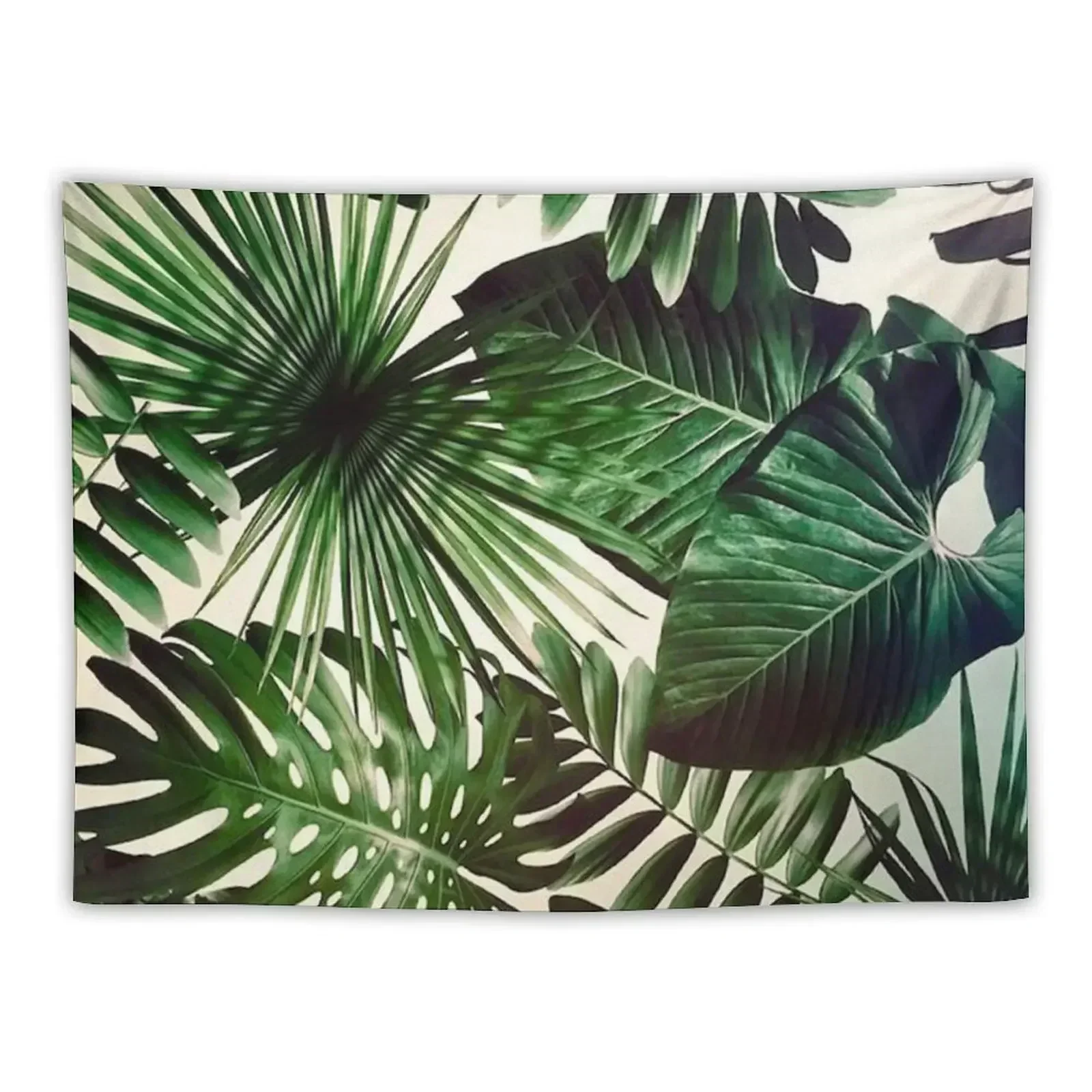 tropical Tapestry Aesthetic Room Decorations Room Decorations Aesthetic Cute Room Things Wall Decorations Tapestry
tropical Tapestry Aesthetic Room Decorations Room Decorations Aesthetic Cute Room Things Wall Decorations Tapestry
