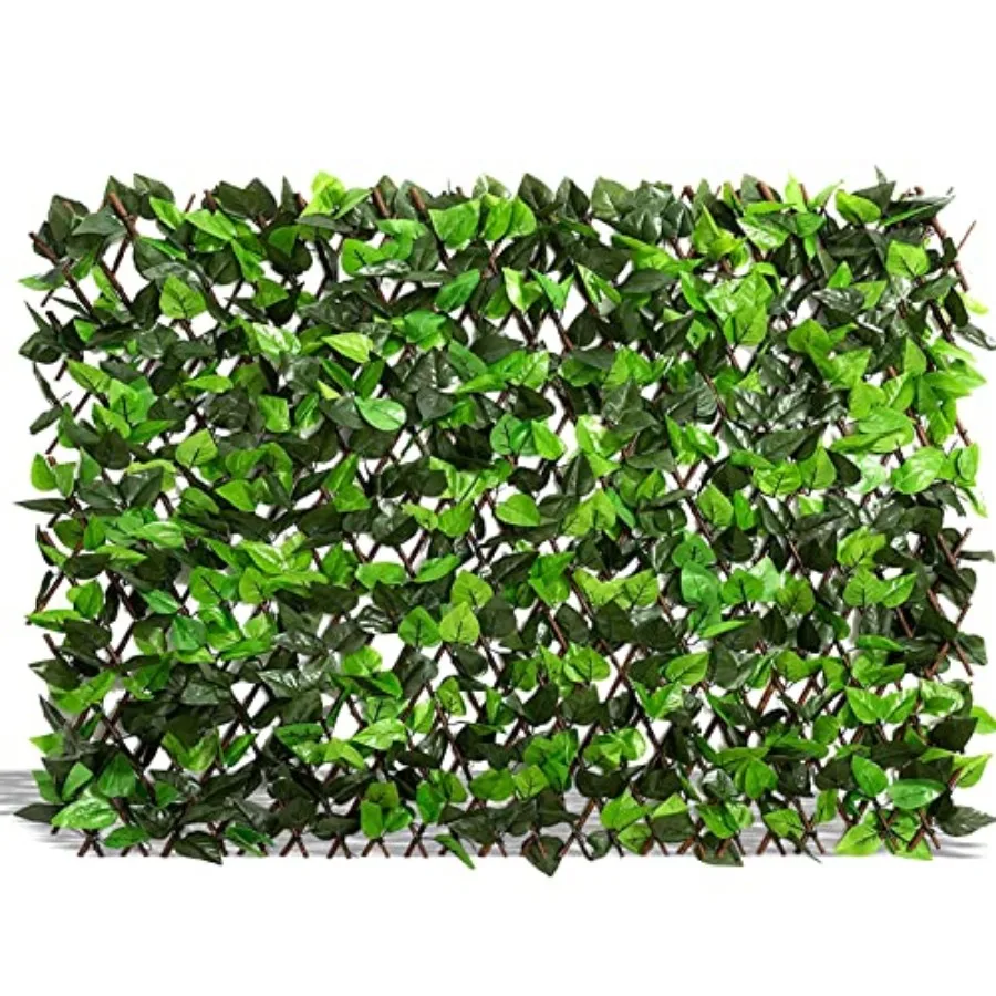 Expandable Fence Privacy Screen for Balcony Patio Outdoor, 1PC Faux Ivy Fencing Panel for Backdrop Garden Backyard Home Decorat
Expandable Fence Privacy Screen for Balcony Patio Outdoor, 1PC Faux Ivy Fencing Panel for Backdrop Garden Backyard Home Decorat