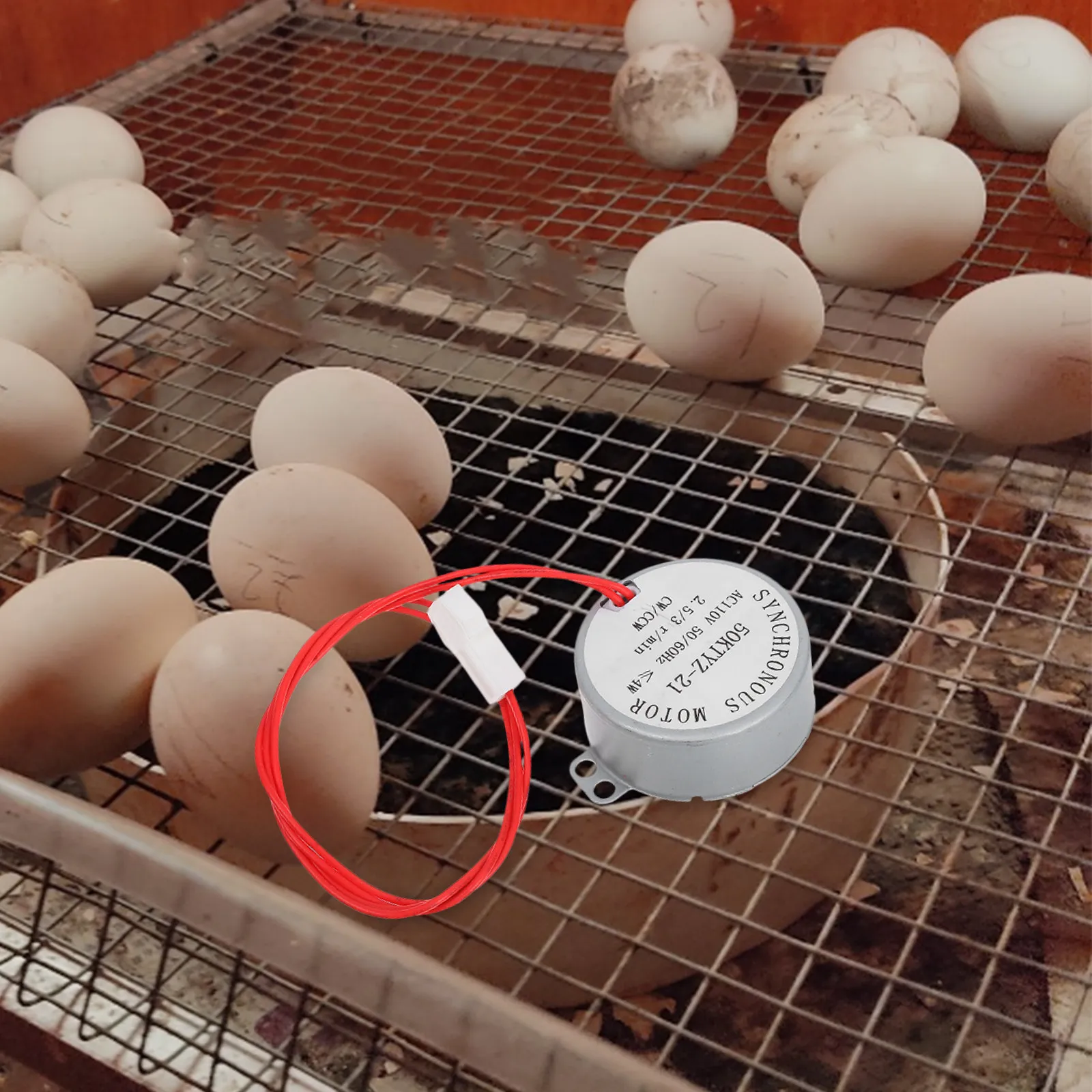 Mini Egg Turner Motor Ac 110V For Chicken Duck Goose Incubator Synchronous Replacement Small Electric Motor Incubator
Mini Egg Turner Motor Ac 110V For Chicken Duck Goose Incubator Synchronous Replacement Small Electric Motor Incubator