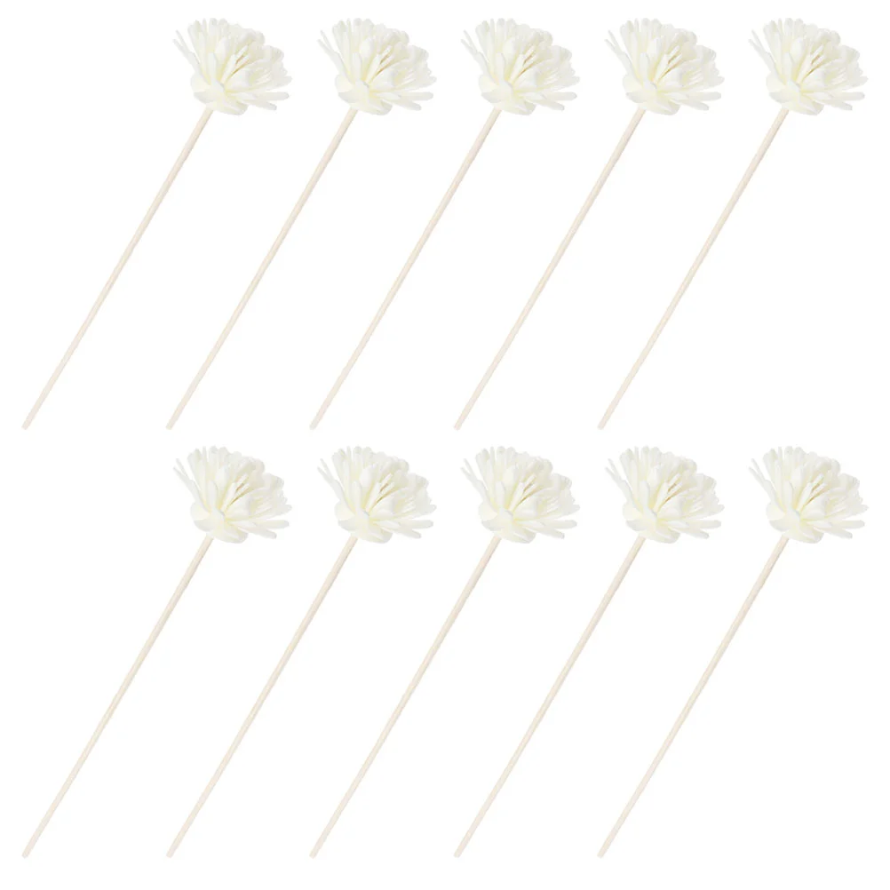 10 Pcs Scents Essential Oil Diffusers for Home Dried Flower White Pe Artificial Flowers
10 Pcs Scents Essential Oil Diffusers for Home Dried Flower White Pe Artificial Flowers