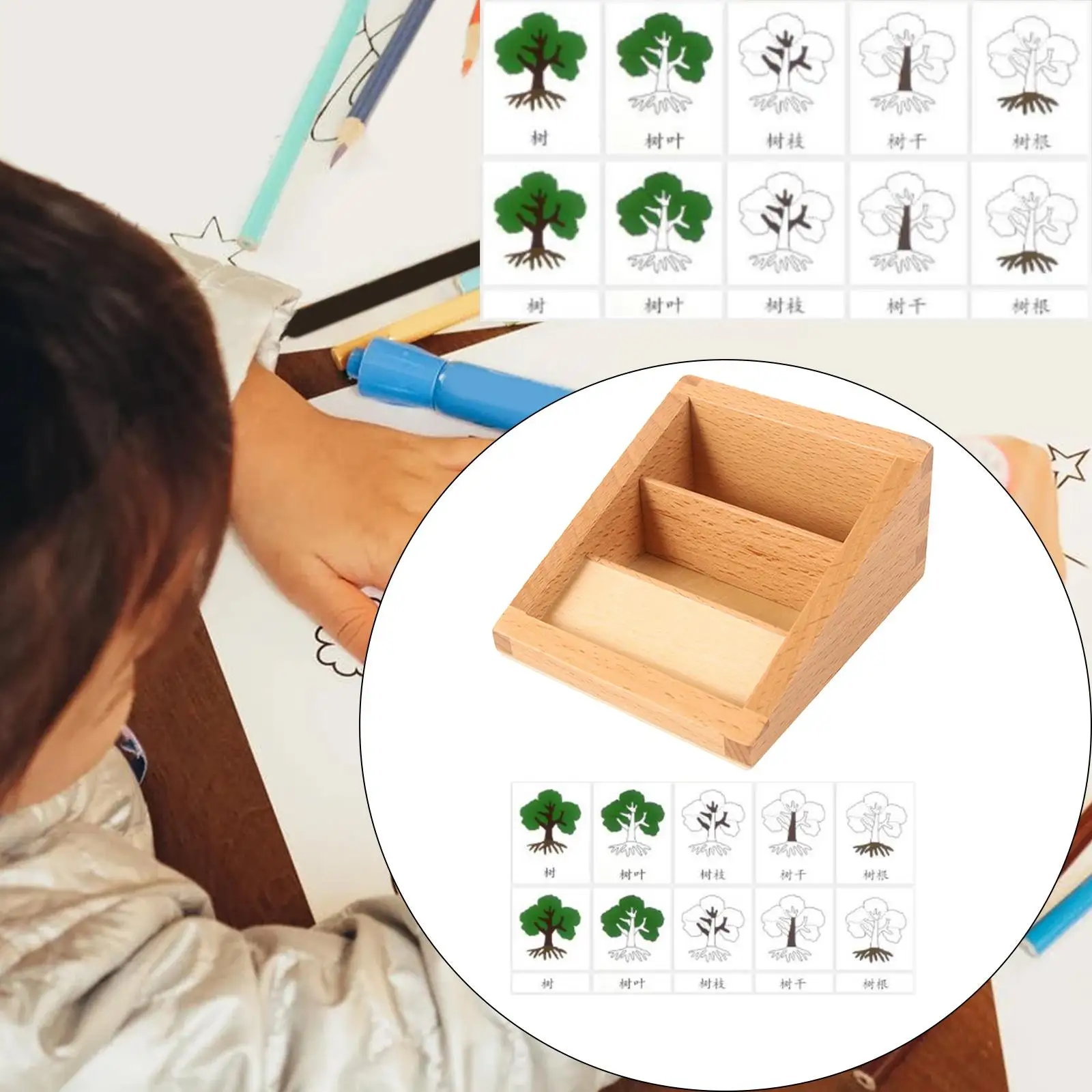 PVC Animal Growth Life Cycle Playset Learning Preschool 4-8 Years Olds
PVC Animal Growth Life Cycle Playset Learning Preschool 4-8 Years Olds