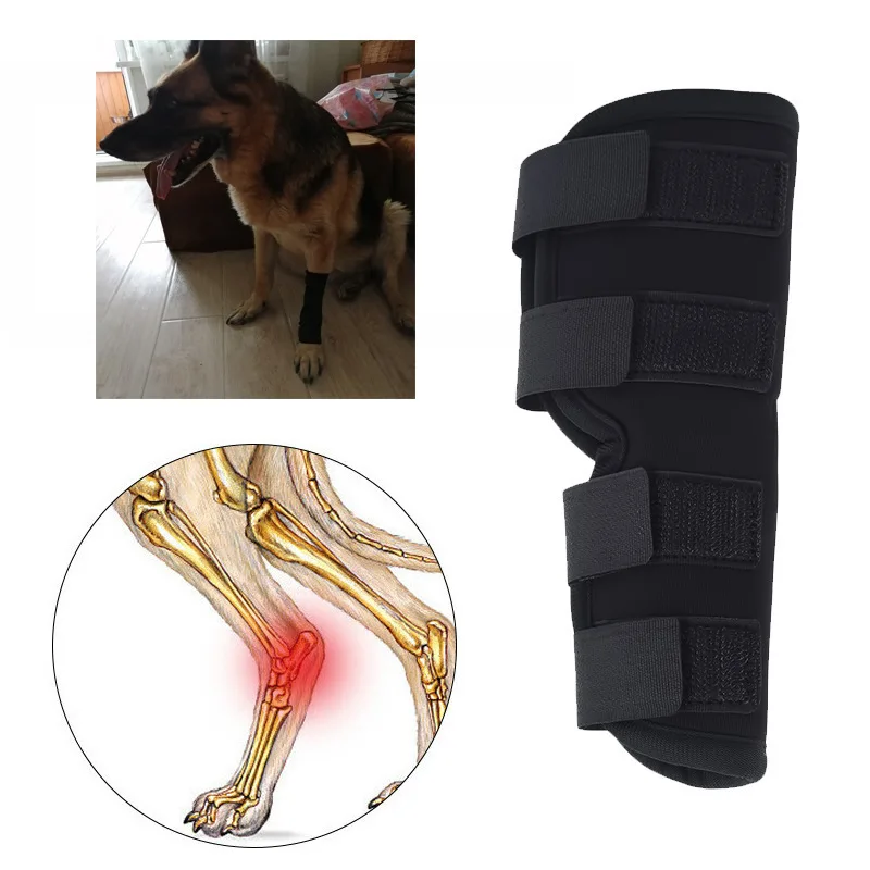 Dog Leg Brace Pet Leg Support Supplies Dog Leg Protector Dogs Recovery Sleeve Protects Wounds Pet Elastic Fabric Knee Brace Dog
Dog Leg Brace Pet Leg Support Supplies Dog Leg Protector Dogs Recovery Sleeve Protects Wounds Pet Elastic Fabric Knee Brace Dog