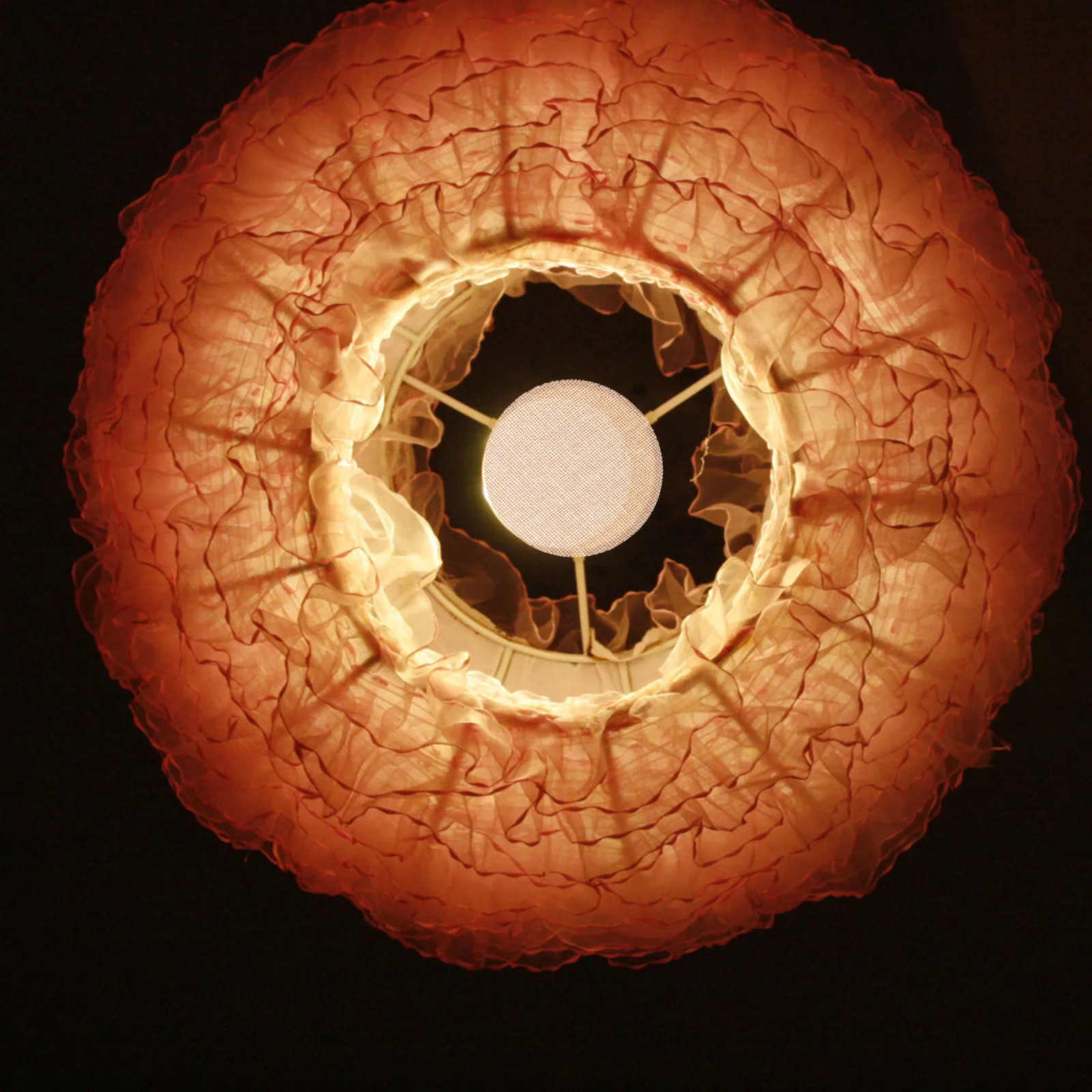 2pcs Fabric Lamp Shade Diffuser Chandelier Light Softening Cover Pendant Lamp Accessories Eye Protection Light Barrier
2pcs Fabric Lamp Shade Diffuser Chandelier Light Softening Cover Pendant Lamp Accessories Eye Protection Light Barrier