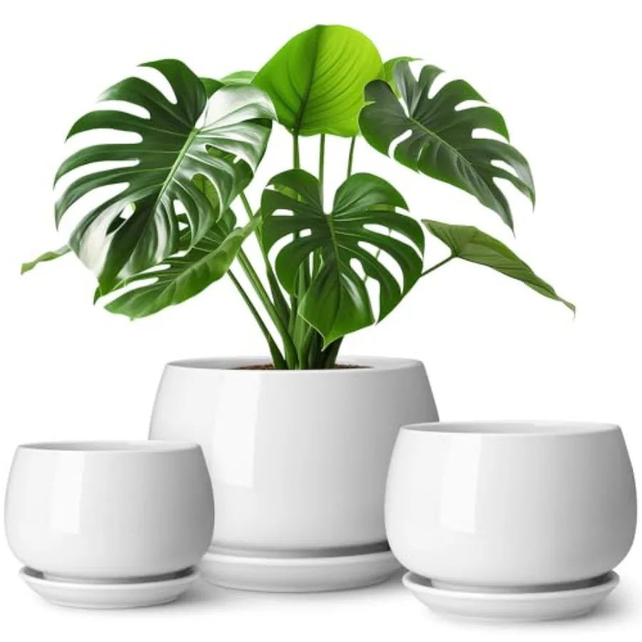 3-Pack Ceramic Plant Pots, 3.7/4.8/6.2 Inch Indoor Planters with Saucers and Drainage Hole Planter pots for Indoor Plants and F
3-Pack Ceramic Plant Pots, 3.7/4.8/6.2 Inch Indoor Planters with Saucers and Drainage Hole Planter pots for Indoor Plants and F