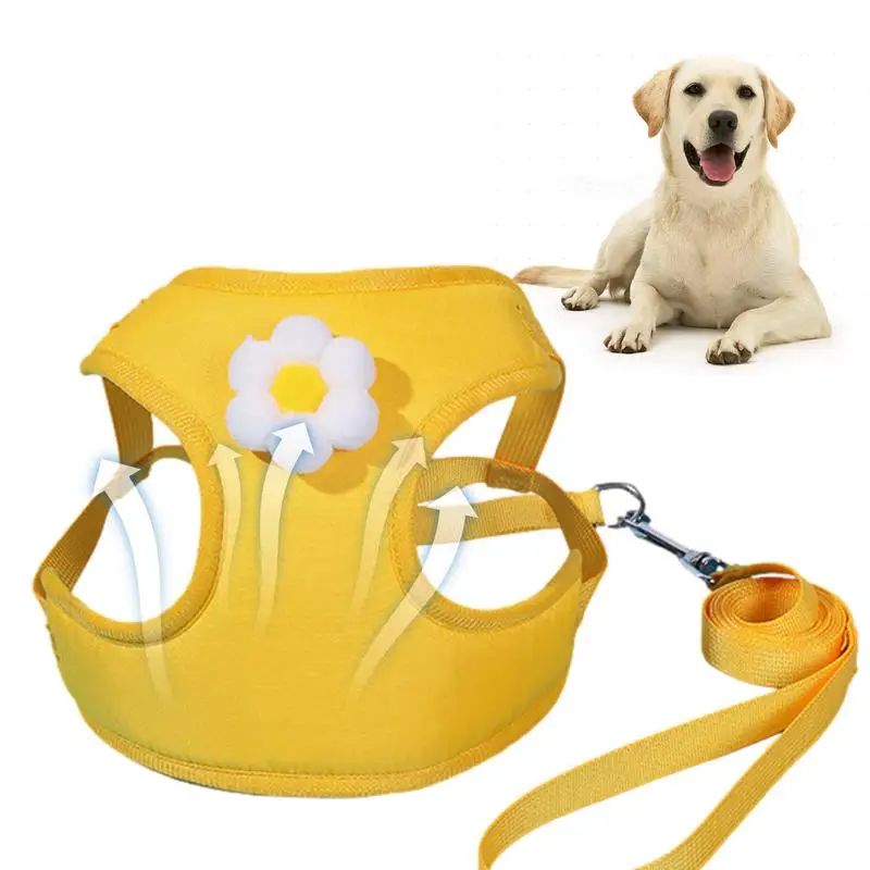 Cat Harness Adjustable Escape Proof Small Cat Vest Harnesses For Cats Soft Mesh Cat Vest Harness And Link For Walking Breathable
Cat Harness Adjustable Escape Proof Small Cat Vest Harnesses For Cats Soft Mesh Cat Vest Harness And Link For Walking Breathable