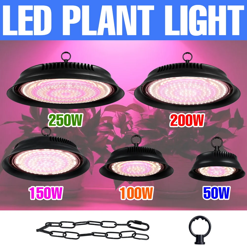 250W LED Grow Light Full Spectrum Cultivation Plant Lamp Indoor Potted Cactu Greenhouse Tent Vegs Fruit Fill Lighting US/EU Plug
250W LED Grow Light Full Spectrum Cultivation Plant Lamp Indoor Potted Cactu Greenhouse Tent Vegs Fruit Fill Lighting US/EU Plug