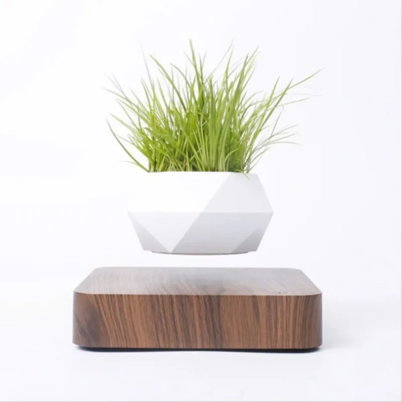 Левитирующий держатель для воздушных растений, подвесной цветочный горшок, кашпо для офиса и дома, подарок для жены и девушки
Левитирующий держатель для воздушных растений, подвесной цветочный горшок, кашпо для офиса и дома, подарок для жены и девушки