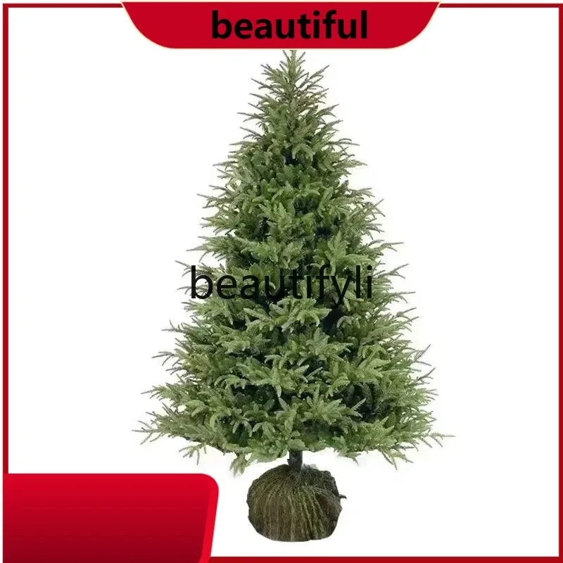 Christmas tree potted real tree green plants HH
Christmas tree potted real tree green plants HH