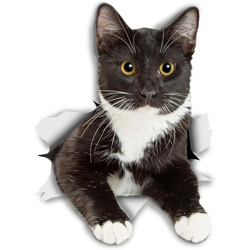 Car decoration sticker Reaching Black & White Tuxedo Cat Decals for Wall - Fridge Car - Retail Packaged 15CM PVC KK
Car decoration sticker Reaching Black & White Tuxedo Cat Decals for Wall - Fridge Car - Retail Packaged 15CM PVC KK