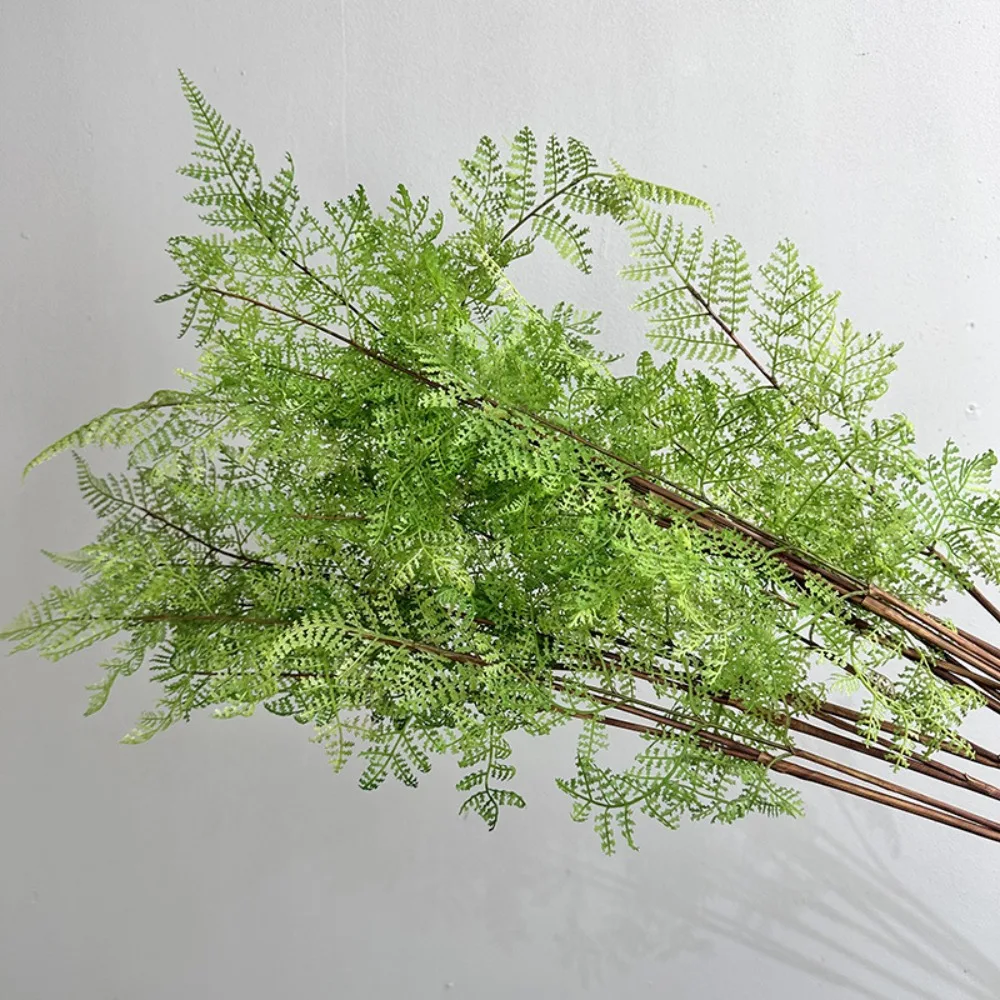 Realistic Artificial Fern Plant Branches Real Touch Handmade Artificial Greenery Fern Grass Elegant Fake Plants
Realistic Artificial Fern Plant Branches Real Touch Handmade Artificial Greenery Fern Grass Elegant Fake Plants