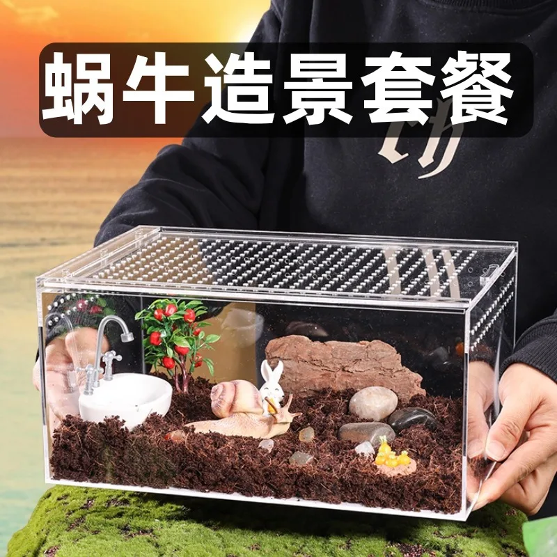 Reptile Acrylic Small Feeding Box, Snail Hermit Crab Landscaping, Climbing Pet Viewing Box
Reptile Acrylic Small Feeding Box, Snail Hermit Crab Landscaping, Climbing Pet Viewing Box