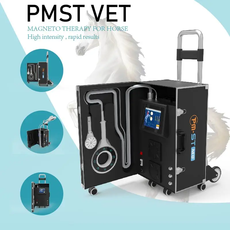 2026 EMTT PEMF Magnetic Therapy Desktop Water-cooled High Strength Recovery Machine Commercial Use Horse Sport Injuries Body
2026 EMTT PEMF Magnetic Therapy Desktop Water-cooled High Strength Recovery Machine Commercial Use Horse Sport Injuries Body