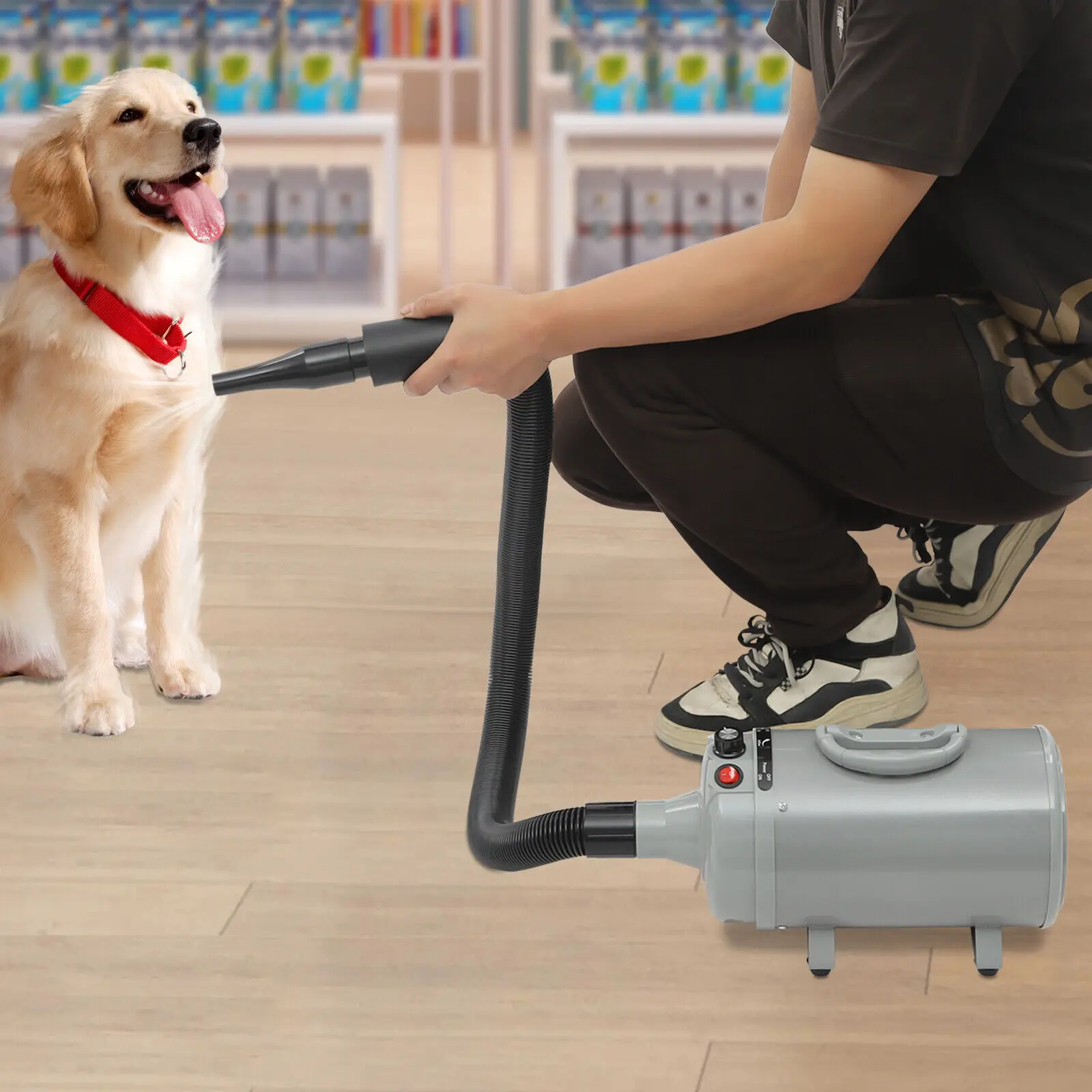 2200W Pet Dog Hair Dryer Adjustable Speed Dog Grooming Blow Dryer with 4 Nozzles
2200W Pet Dog Hair Dryer Adjustable Speed Dog Grooming Blow Dryer with 4 Nozzles