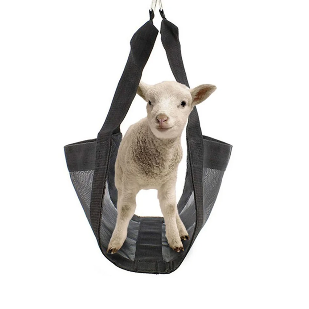 Livestock Weighing Sling Calf Lamb Goat Alpaca Adjustable Nylon Reinforcement Farm Animal Scale Tools Black Small Carrier
Livestock Weighing Sling Calf Lamb Goat Alpaca Adjustable Nylon Reinforcement Farm Animal Scale Tools Black Small Carrier
