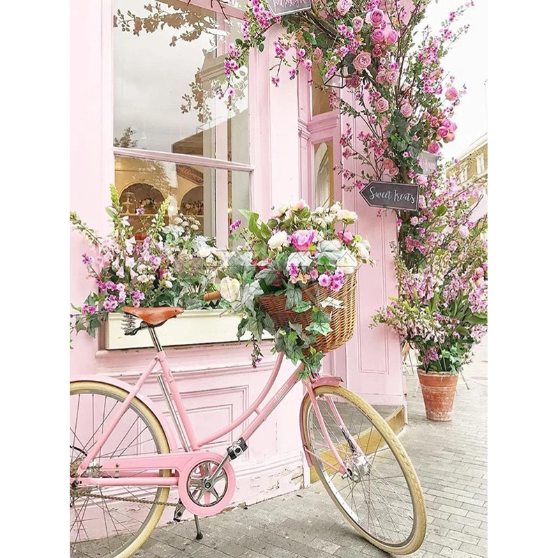 Bicycle flower basket Embroidery By Number Cross Stitch Kits DIY Canvas Print Floral Landscape Wall Art for Living Room Decor
Bicycle flower basket Embroidery By Number Cross Stitch Kits DIY Canvas Print Floral Landscape Wall Art for Living Room Decor