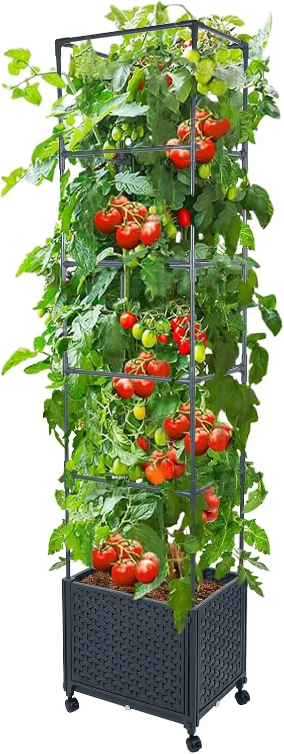 Приподнятая грядка с решеткой и колесами для вьющихся растений, уличный ящик для растений 67,6 дюйма
Приподнятая грядка с решеткой и колесами для вьющихся растений, уличный ящик для растений 67,6 дюйма