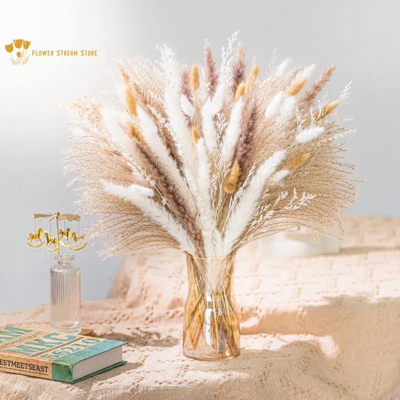 Natural Pampas Dried Flowers Fluffy Reed Bunny Tail Grass Mixed Bouquet Boho Home Vase Decor Phragmites Wedding Party Decoration
Natural Pampas Dried Flowers Fluffy Reed Bunny Tail Grass Mixed Bouquet Boho Home Vase Decor Phragmites Wedding Party Decoration