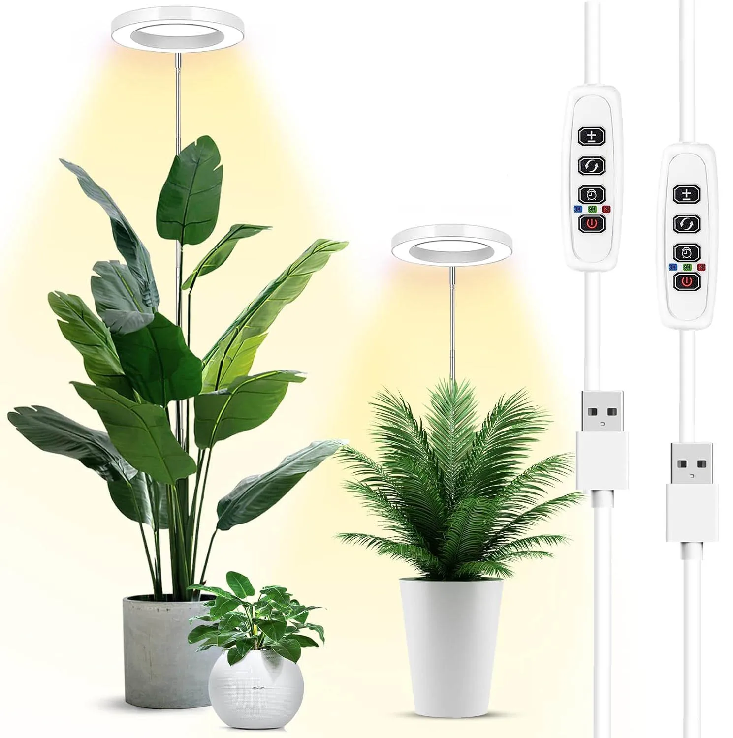 Ring Grow Lights for Indoor Plants Full Spectrum Growing Lamp with Auto On/Off Timer Height Adjustable Dimmable Growth Lights
Ring Grow Lights for Indoor Plants Full Spectrum Growing Lamp with Auto On/Off Timer Height Adjustable Dimmable Growth Lights