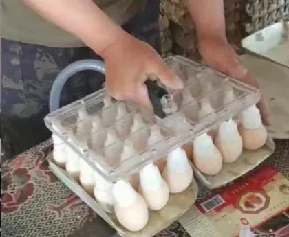 Vacuum Egg Lifter Picker Transfer Machine with Suction Cup Egg Loading Machine - Popular Sale Egg Handling Equipment
Vacuum Egg Lifter Picker Transfer Machine with Suction Cup Egg Loading Machine - Popular Sale Egg Handling Equipment