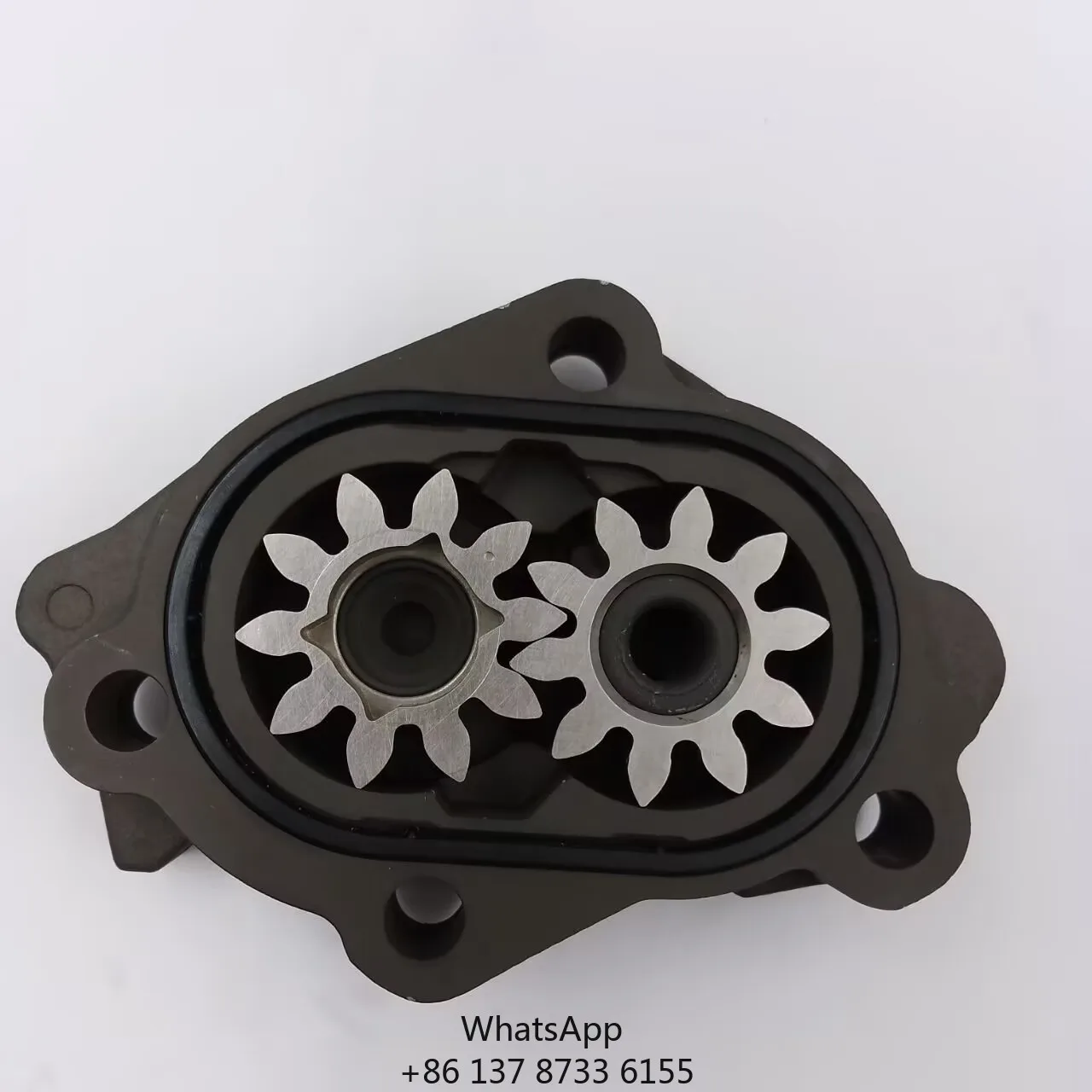 Gear Pump For CP1H3 Pump 0440020060 0440020133 0440020101 0440020078 0440020045 0440020049
Gear Pump For CP1H3 Pump 0440020060 0440020133 0440020101 0440020078 0440020045 0440020049