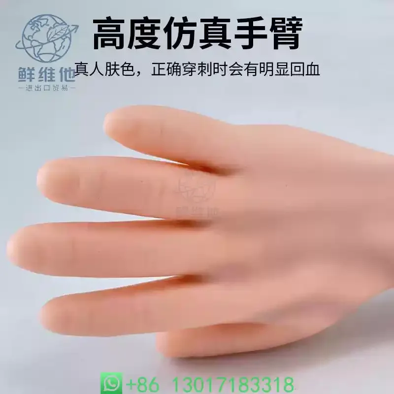 Advanced Arm Venipuncture Phlebotomy Practice Model Injection Training Medical Simulator for Nurse Training
Advanced Arm Venipuncture Phlebotomy Practice Model Injection Training Medical Simulator for Nurse Training