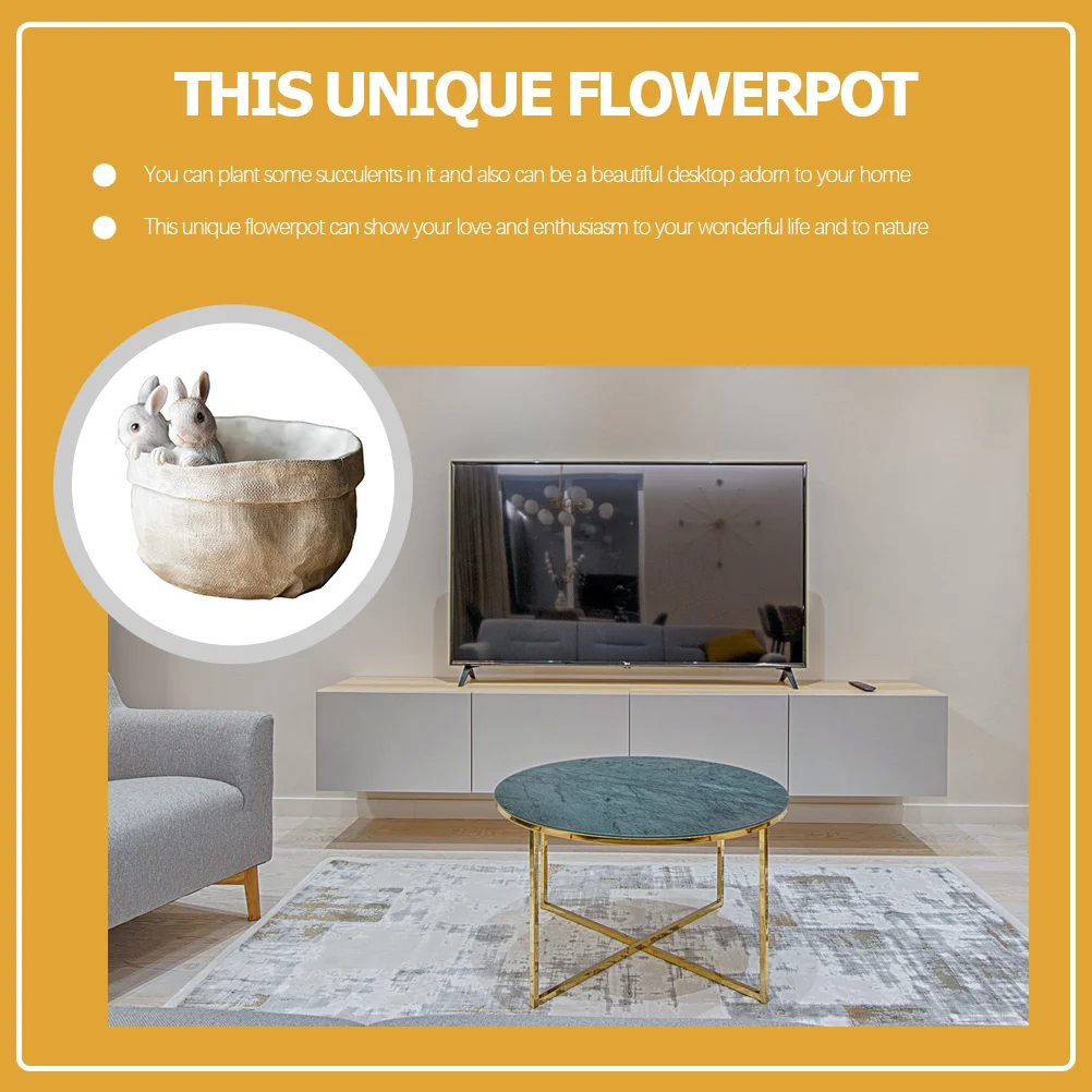 Cute Bunny Resin Flower Pot Small Succulent Planter for Home Office Garden Desk Decor Living Room Indoor Plants Container
Cute Bunny Resin Flower Pot Small Succulent Planter for Home Office Garden Desk Decor Living Room Indoor Plants Container