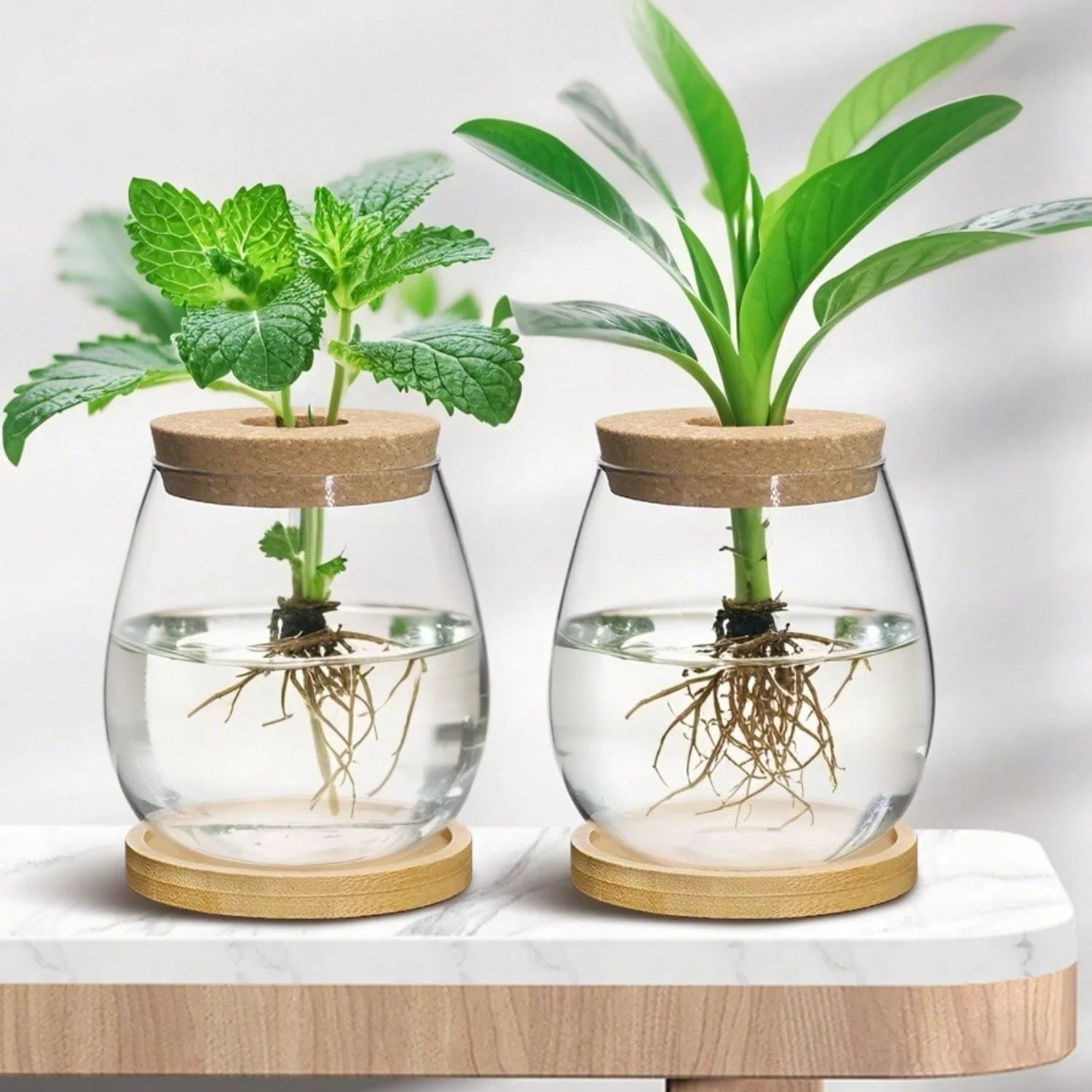 Plants Propagation Station, 2pcs Separated Desktop Plant Terrarium, Plant Propagation Station Planter Water Planting Glass Vase
Plants Propagation Station, 2pcs Separated Desktop Plant Terrarium, Plant Propagation Station Planter Water Planting Glass Vase