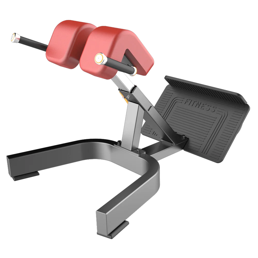 Professional Steel Back Extension Gym Exercise Machine Fitness Equipment
Professional Steel Back Extension Gym Exercise Machine Fitness Equipment