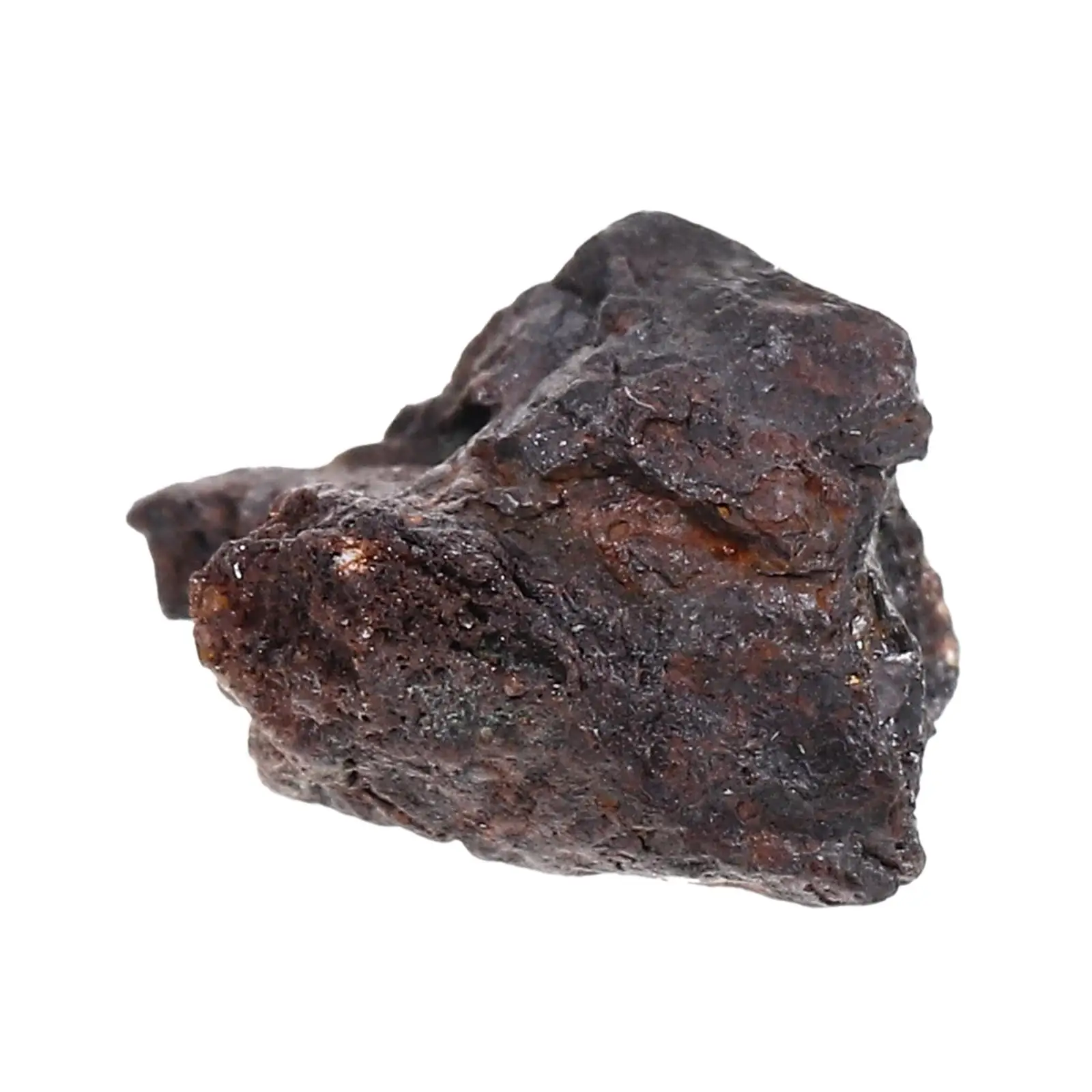 1pcs Stone Iron Meteorite Specimen Irregular Shape Educational Material Teaching Equipment Child Gift Desktop
1pcs Stone Iron Meteorite Specimen Irregular Shape Educational Material Teaching Equipment Child Gift Desktop