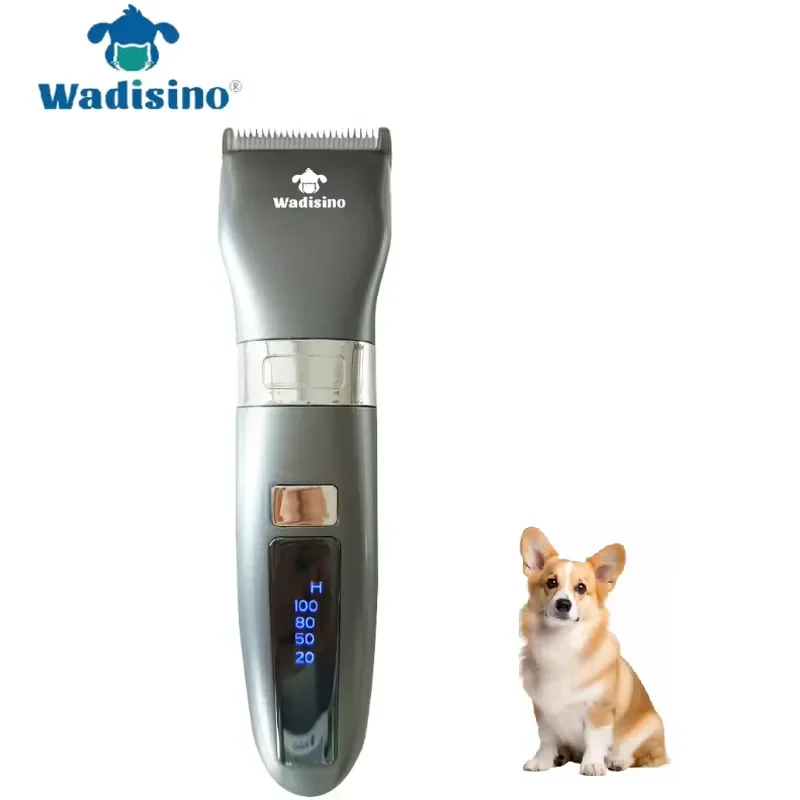 High Quality Mini Hair Clipper Blades USB Rechargeable Pet Shaver Trimmer for Cat Dog
High Quality Mini Hair Clipper Blades USB Rechargeable Pet Shaver Trimmer for Cat Dog