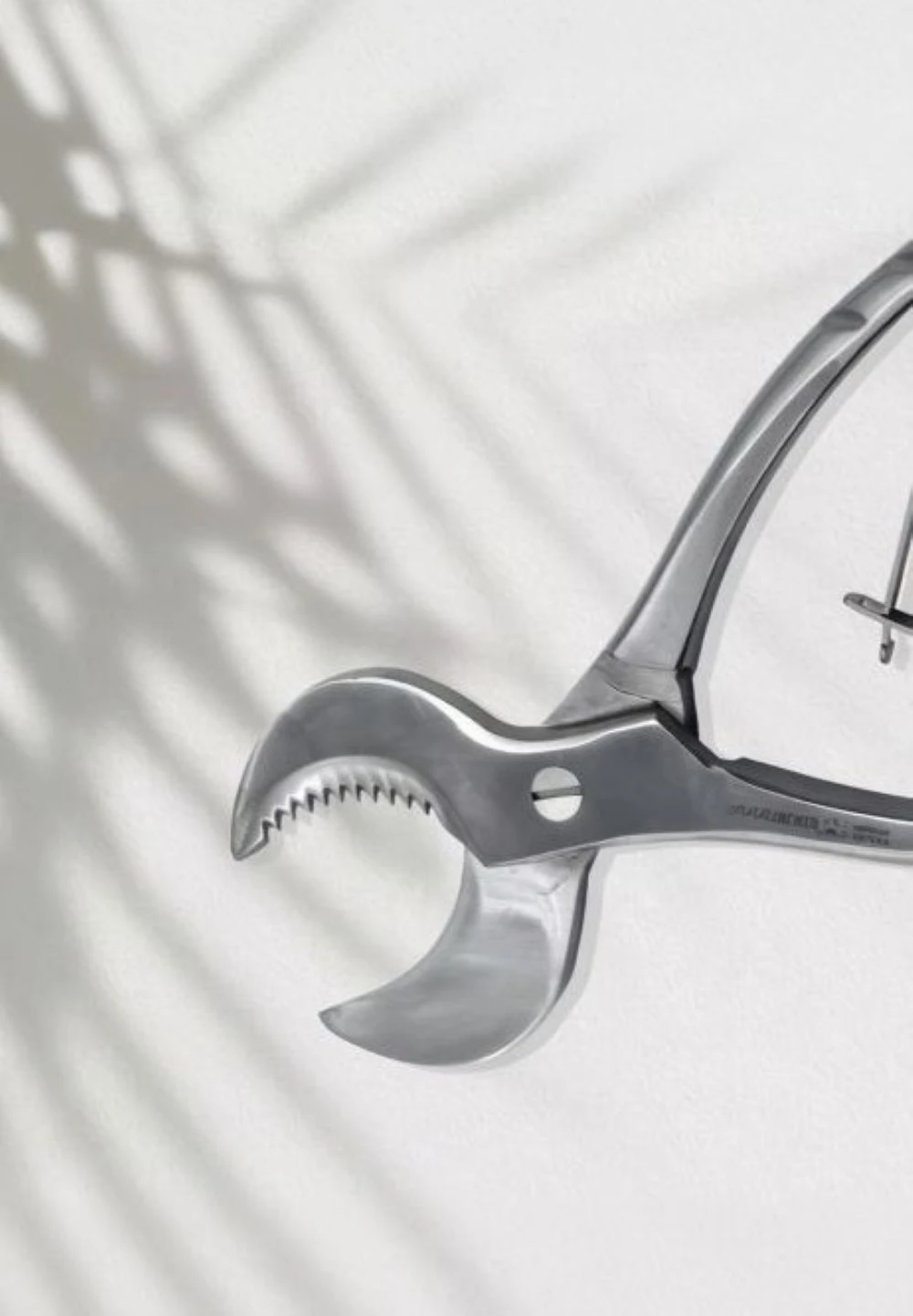 Dental Dental treatment /Gypsum Shears Stainless Steel Gypsum Shears Gypsum Shears Gypsum Pliers Gypsum Models For Super Hard
Dental Dental treatment /Gypsum Shears Stainless Steel Gypsum Shears Gypsum Shears Gypsum Pliers Gypsum Models For Super Hard
