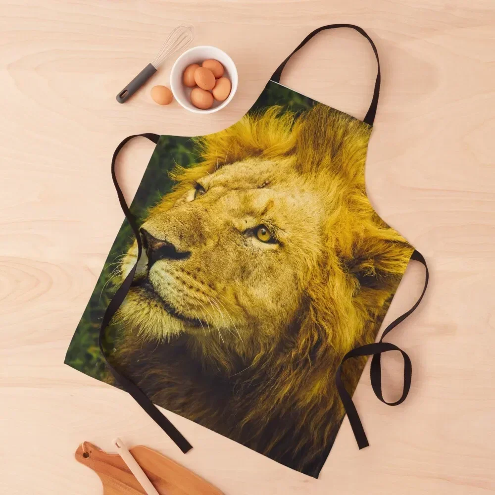 Male Lion Close-Up Photography Apron Things For The Kitchen Waterproof women Apron
Male Lion Close-Up Photography Apron Things For The Kitchen Waterproof women Apron