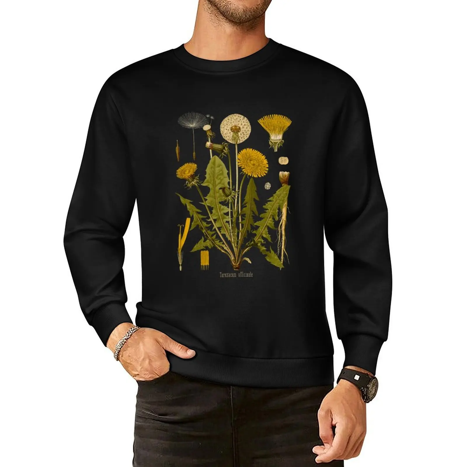 Dandelion Pullover Hoodie aesthetic clothing male clothes anime clothes autumn anime sweatshirt
Dandelion Pullover Hoodie aesthetic clothing male clothes anime clothes autumn anime sweatshirt