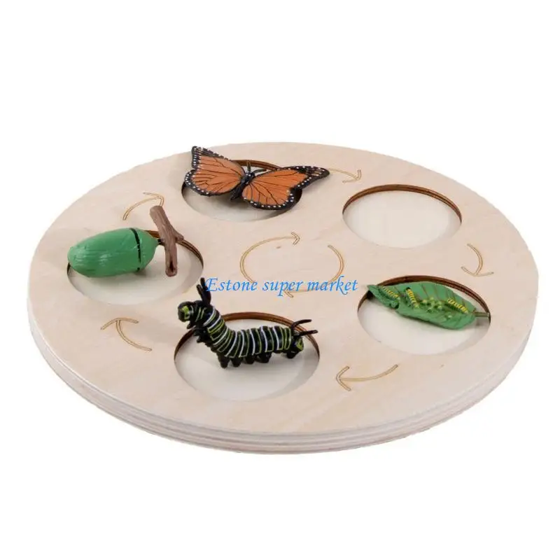 090B Детская обучающая доска для жизненного цикла, фигурка животного, модель процесса роста, обучение танграмме, образовательная
090B Детская обучающая доска для жизненного цикла, фигурка животного, модель процесса роста, обучение танграмме, образовательная