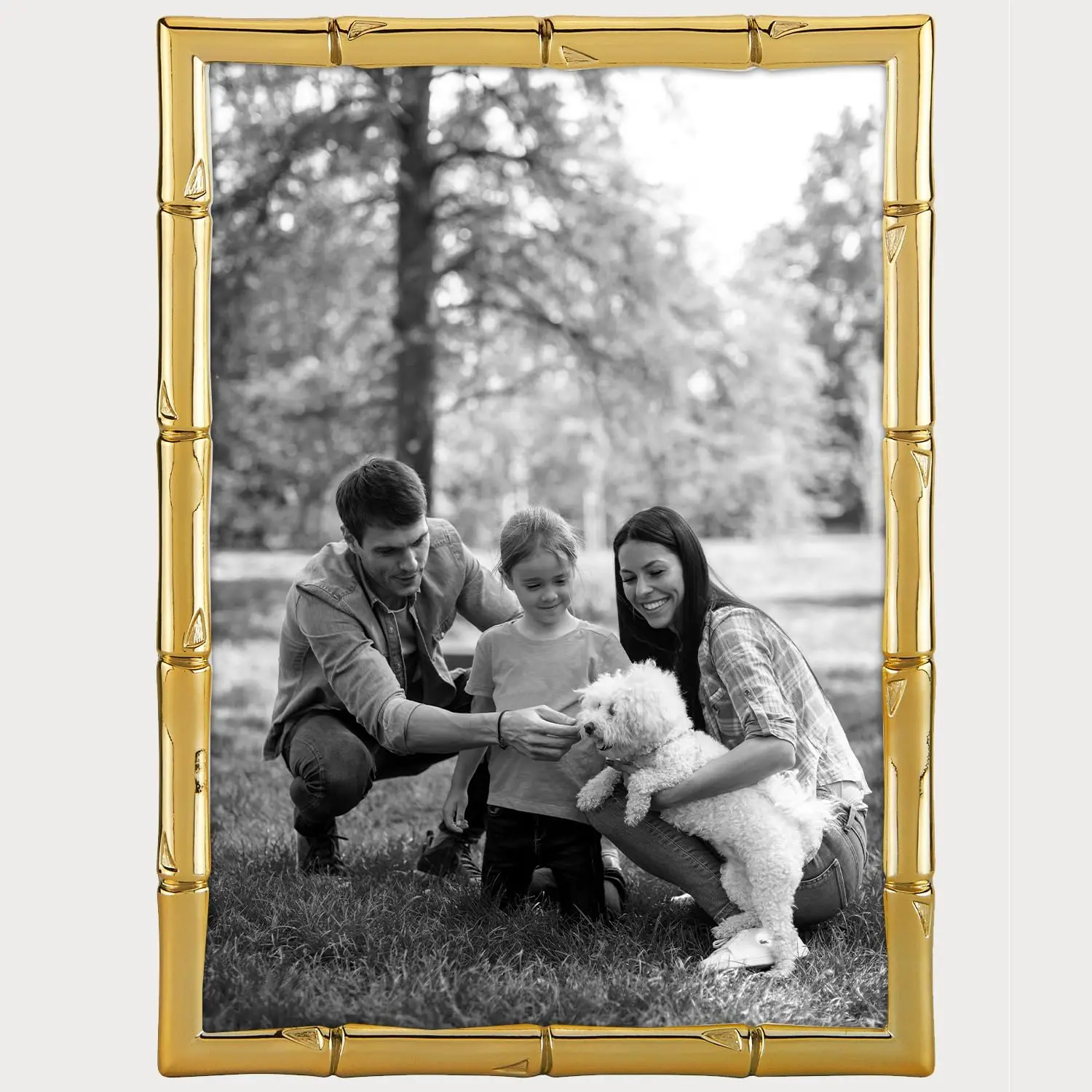 Siena Cast Metal Bamboo Picture Frame, Tarnish Resistant Finish, Perfect Photo Frame For Any End Table, Credenza, Shelf, Or
Siena Cast Metal Bamboo Picture Frame, Tarnish Resistant Finish, Perfect Photo Frame For Any End Table, Credenza, Shelf, Or