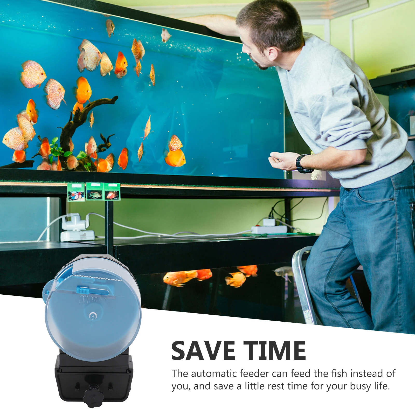 Automatic Fish Feeder Turtle Feeder Adjustable Port Large Capacity Multiple Times Daily Feeding Small Tanks
Automatic Fish Feeder Turtle Feeder Adjustable Port Large Capacity Multiple Times Daily Feeding Small Tanks
