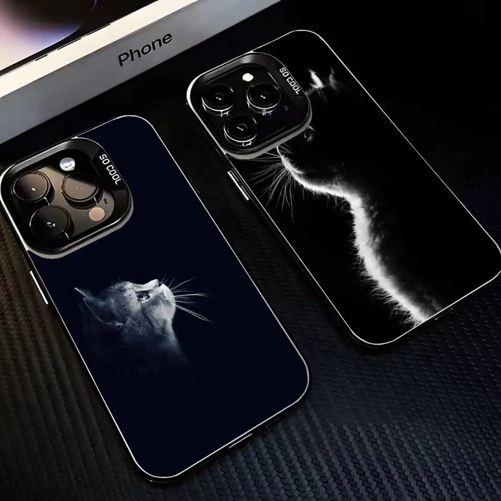 Handsome black kitten Phone Case For iPhone17,16,15,14,13,12,11 Plus,Pro Max Black Matte Shockproof Cover
Handsome black kitten Phone Case For iPhone17,16,15,14,13,12,11 Plus,Pro Max Black Matte Shockproof Cover