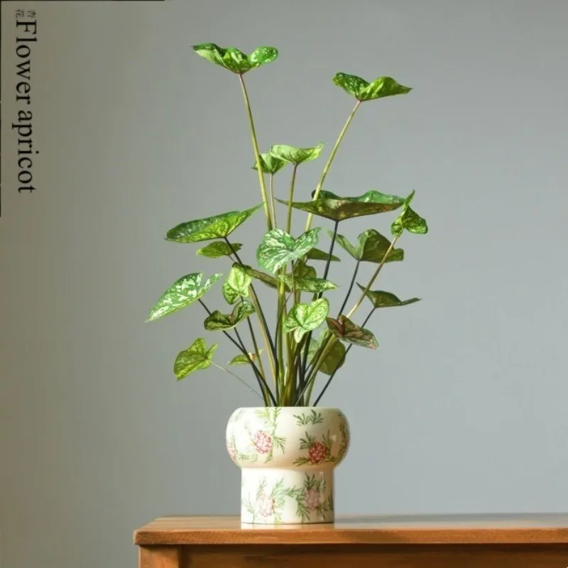 Nordic Style Ceramic Flower Pot Retro Ice Crack Phalaenopsis Flower Pot Gardening Supplies Planting Accessories Flower Pots
Nordic Style Ceramic Flower Pot Retro Ice Crack Phalaenopsis Flower Pot Gardening Supplies Planting Accessories Flower Pots
