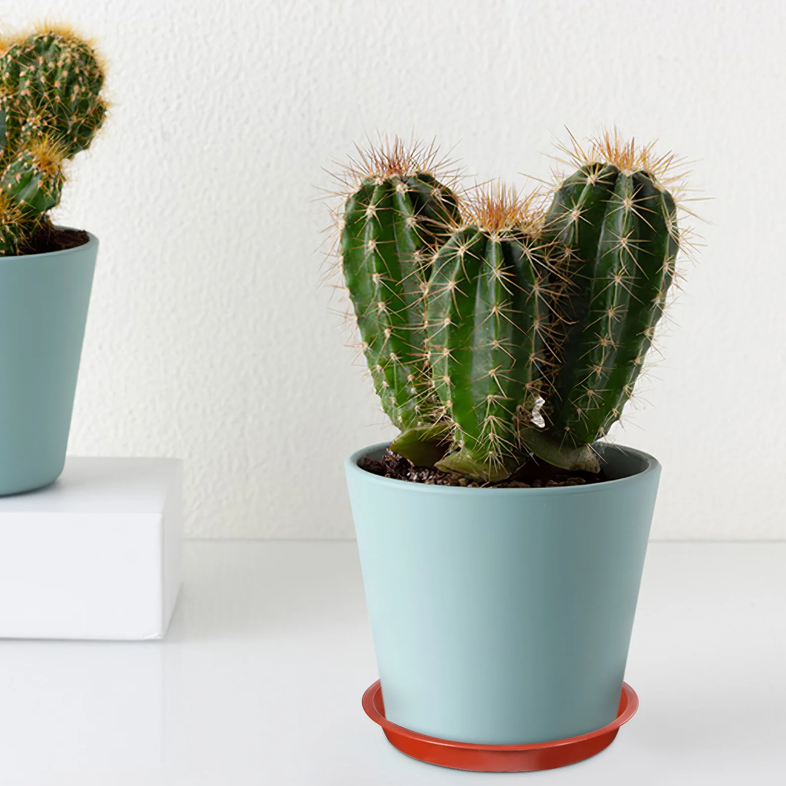 12Pcs Round Shaped Plant Saucers Strong Plastic Indoor Outdoor Planters Water Tray Drip Trays Portable Plant Saucers
12Pcs Round Shaped Plant Saucers Strong Plastic Indoor Outdoor Planters Water Tray Drip Trays Portable Plant Saucers