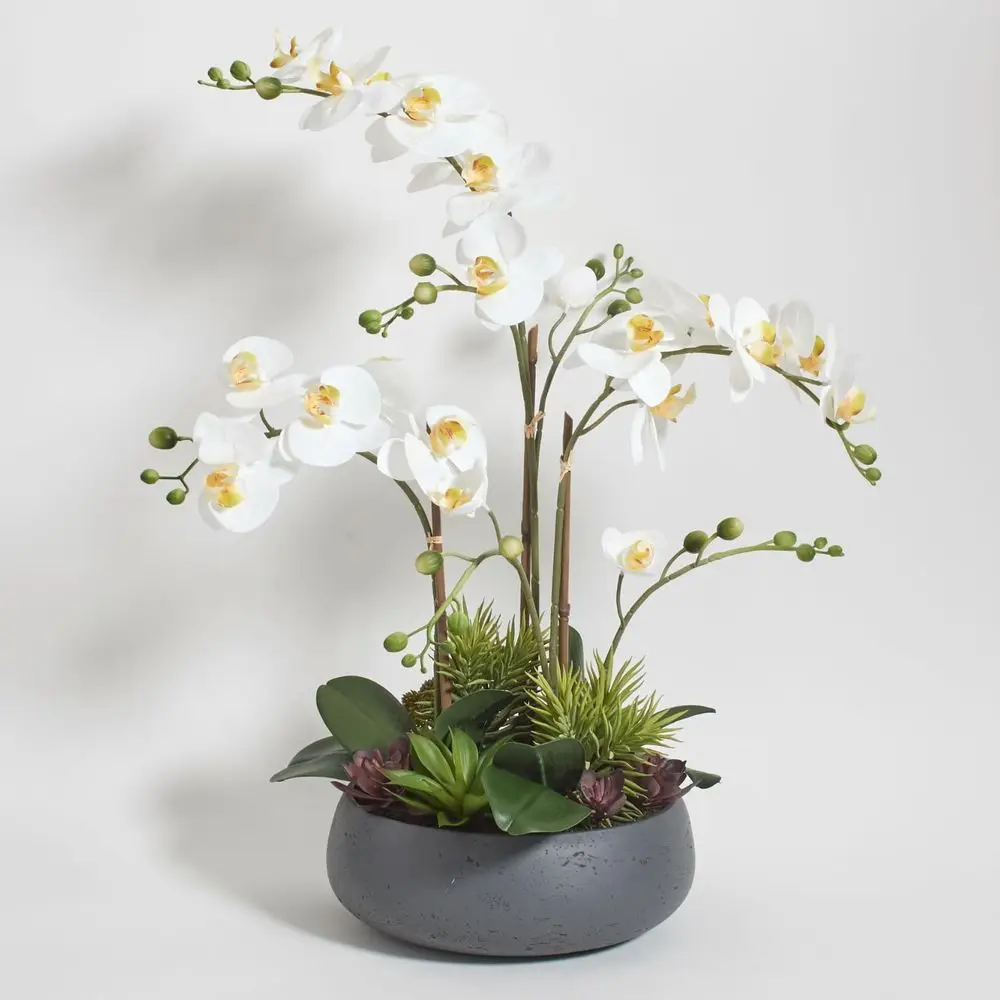 Elegant Orchid & Succulent Display, 23” Artificial Indoor Stand with Long-Lasting Blooms, Grey Planter
Elegant Orchid & Succulent Display, 23” Artificial Indoor Stand with Long-Lasting Blooms, Grey Planter