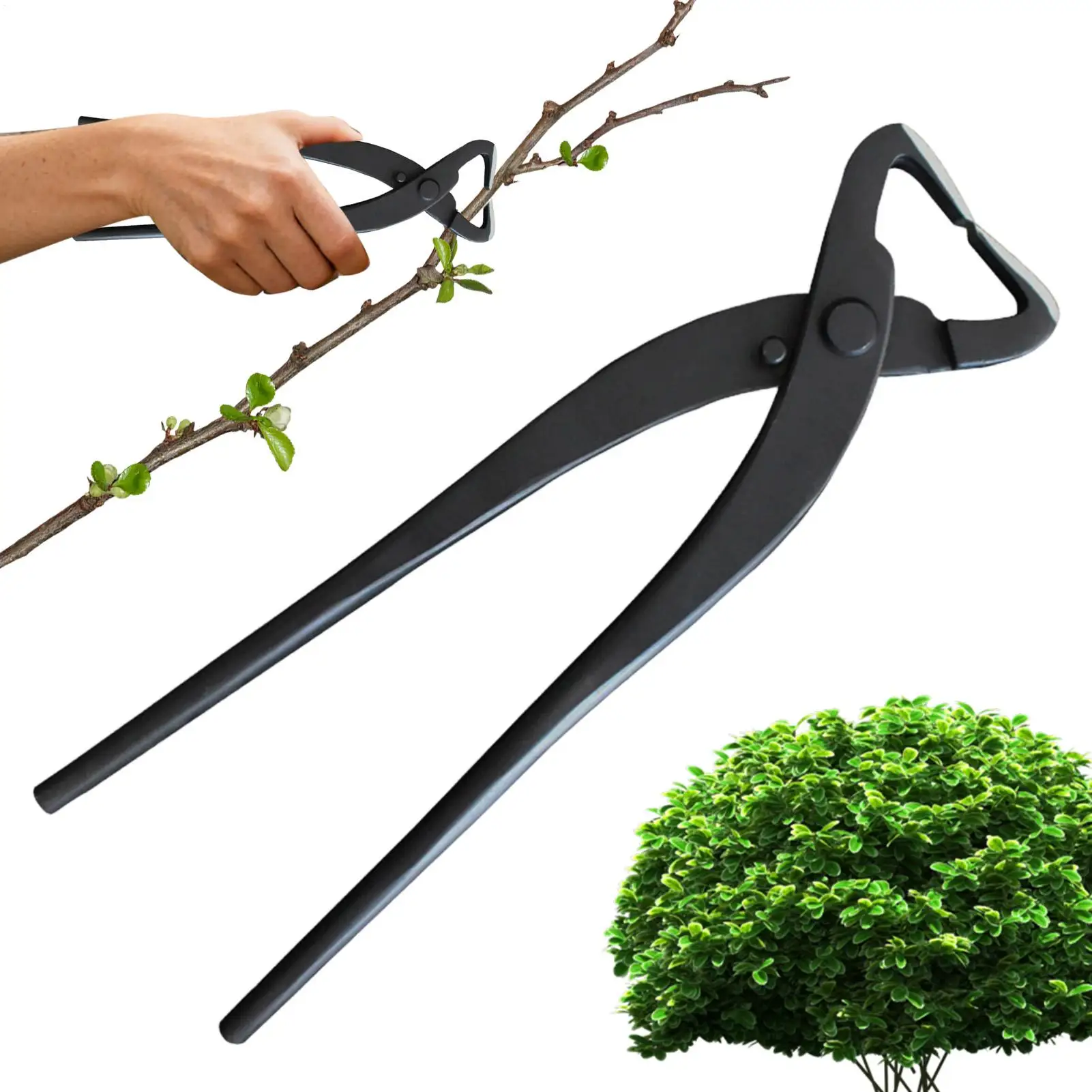 Ножницы для бонсай, плоскогубцы для разрушения стержня, стальные секаторы с нескользящей ручкой, резак для ветвей бонсай, ножницы для ветвей, ножницы для цветов
Ножницы для бонсай, плоскогубцы для разрушения стержня, стальные секаторы с нескользящей ручкой, резак для ветвей бонсай, ножницы для ветвей, ножницы для цветов